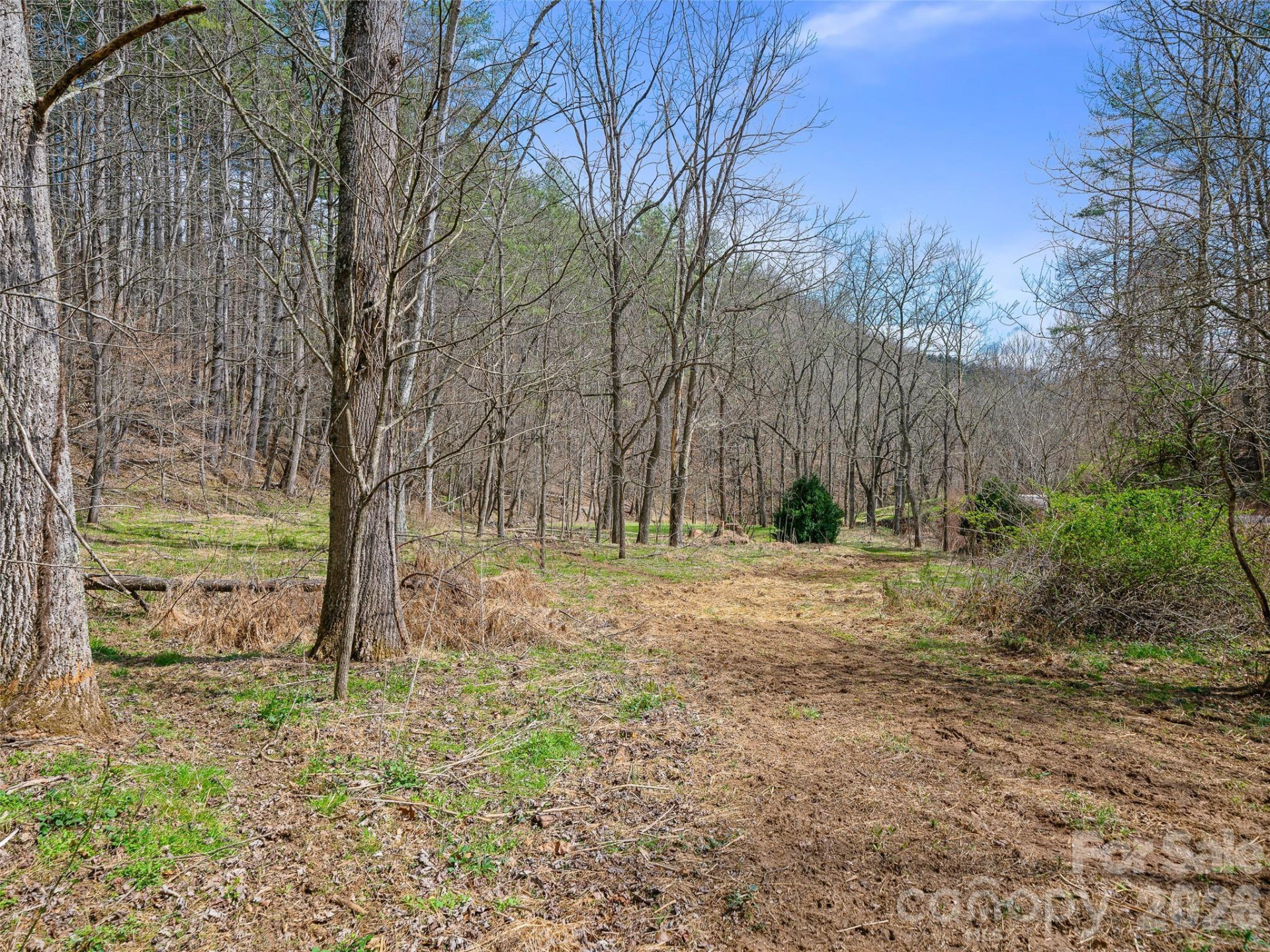 00 Elk Shoals Creek Road