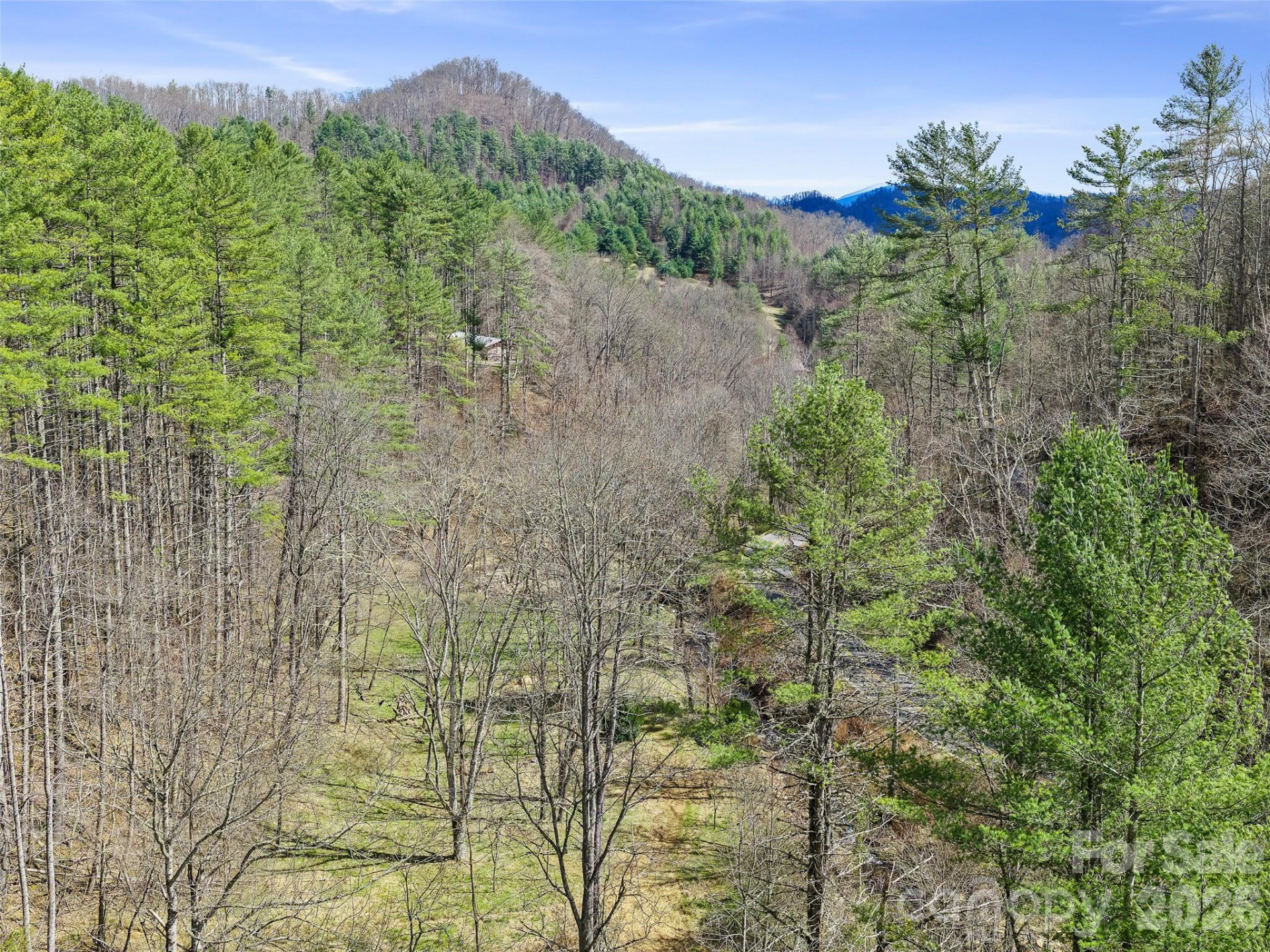 00 Elk Shoals Creek Road - Photo 14