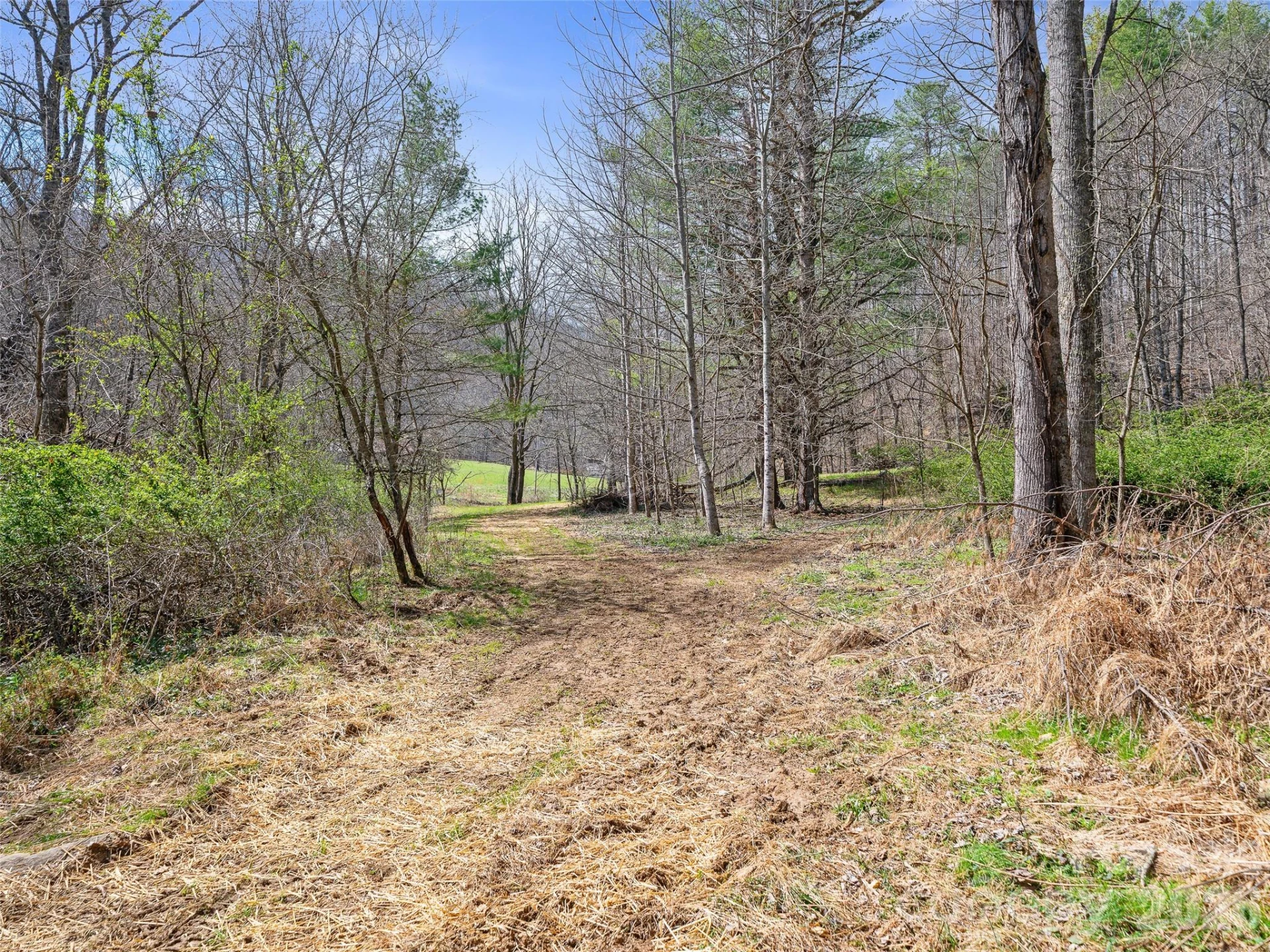 00 Elk Shoals Creek Road - Photo 16