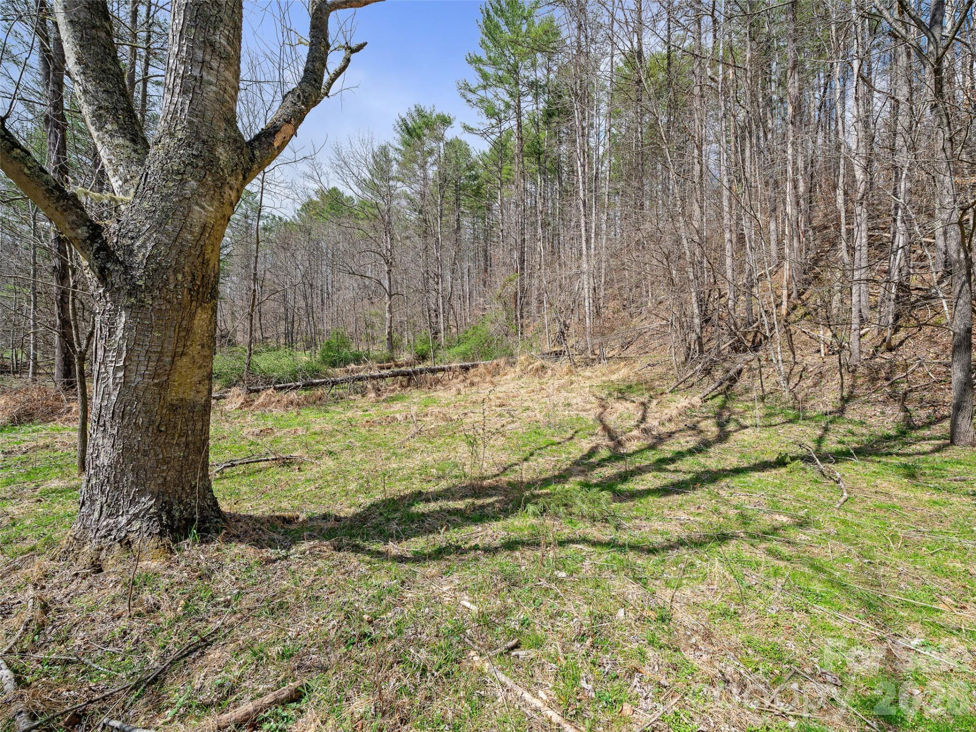 00 Elk Shoals Creek Road - Photo 17