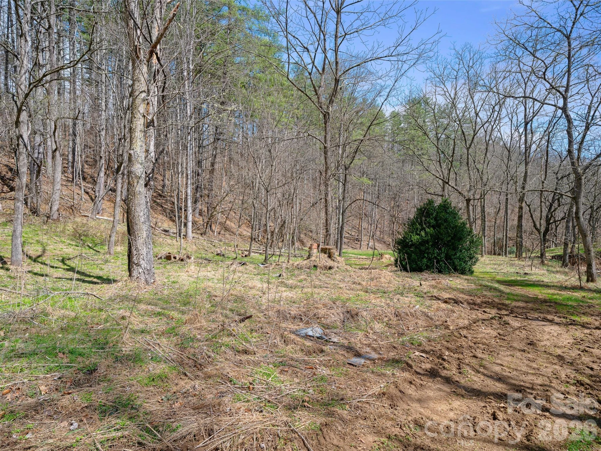 00 Elk Shoals Creek Road - Photo 18