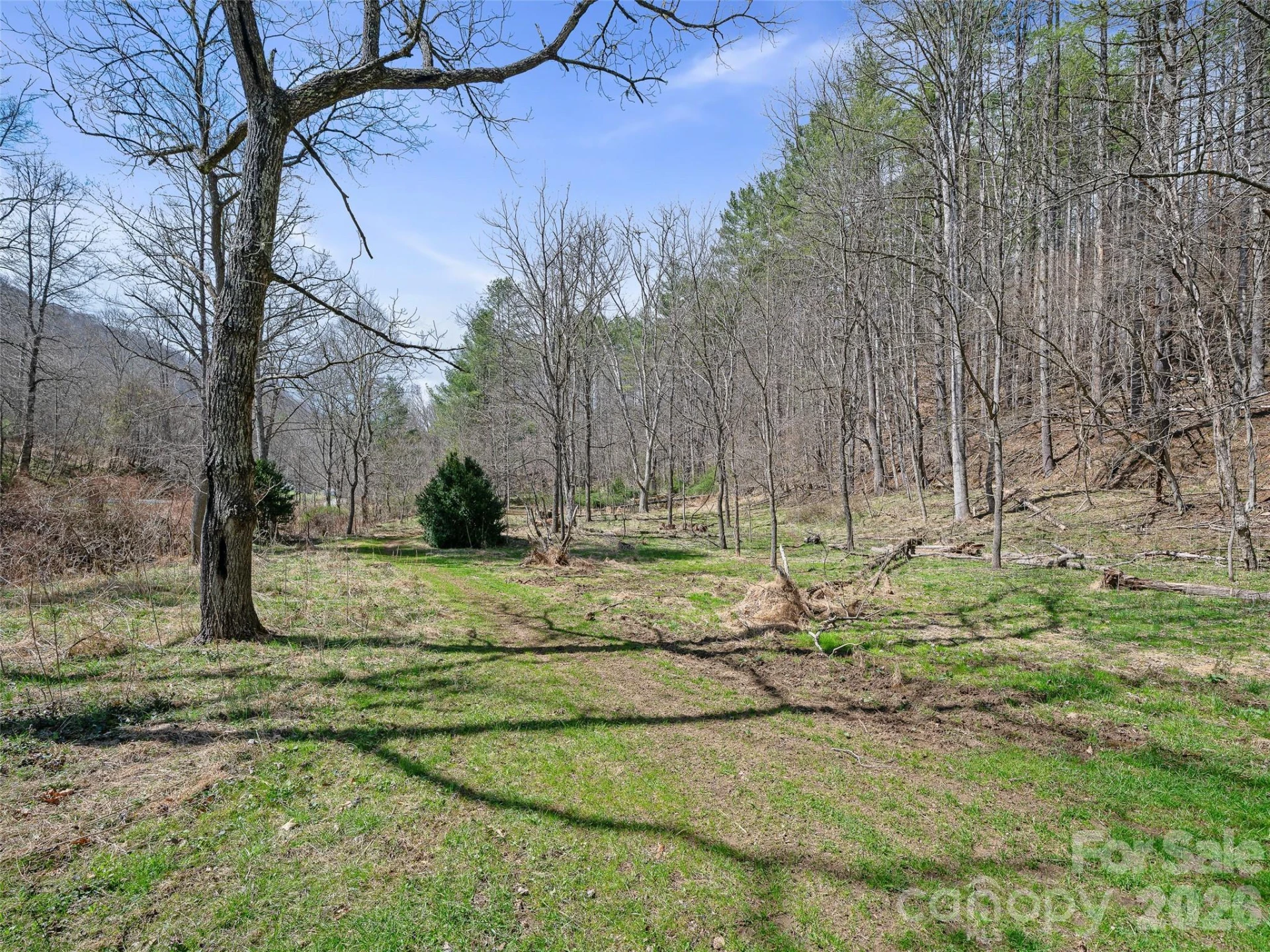 00 Elk Shoals Creek Road - Photo 20