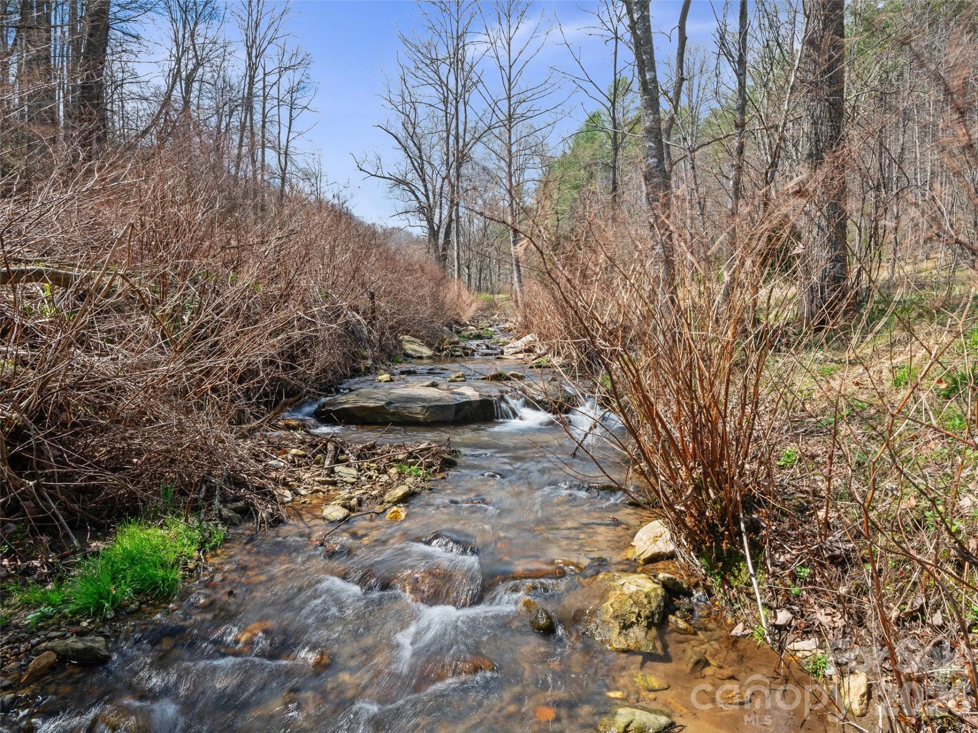 00 Elk Shoals Creek Road - Photo 3
