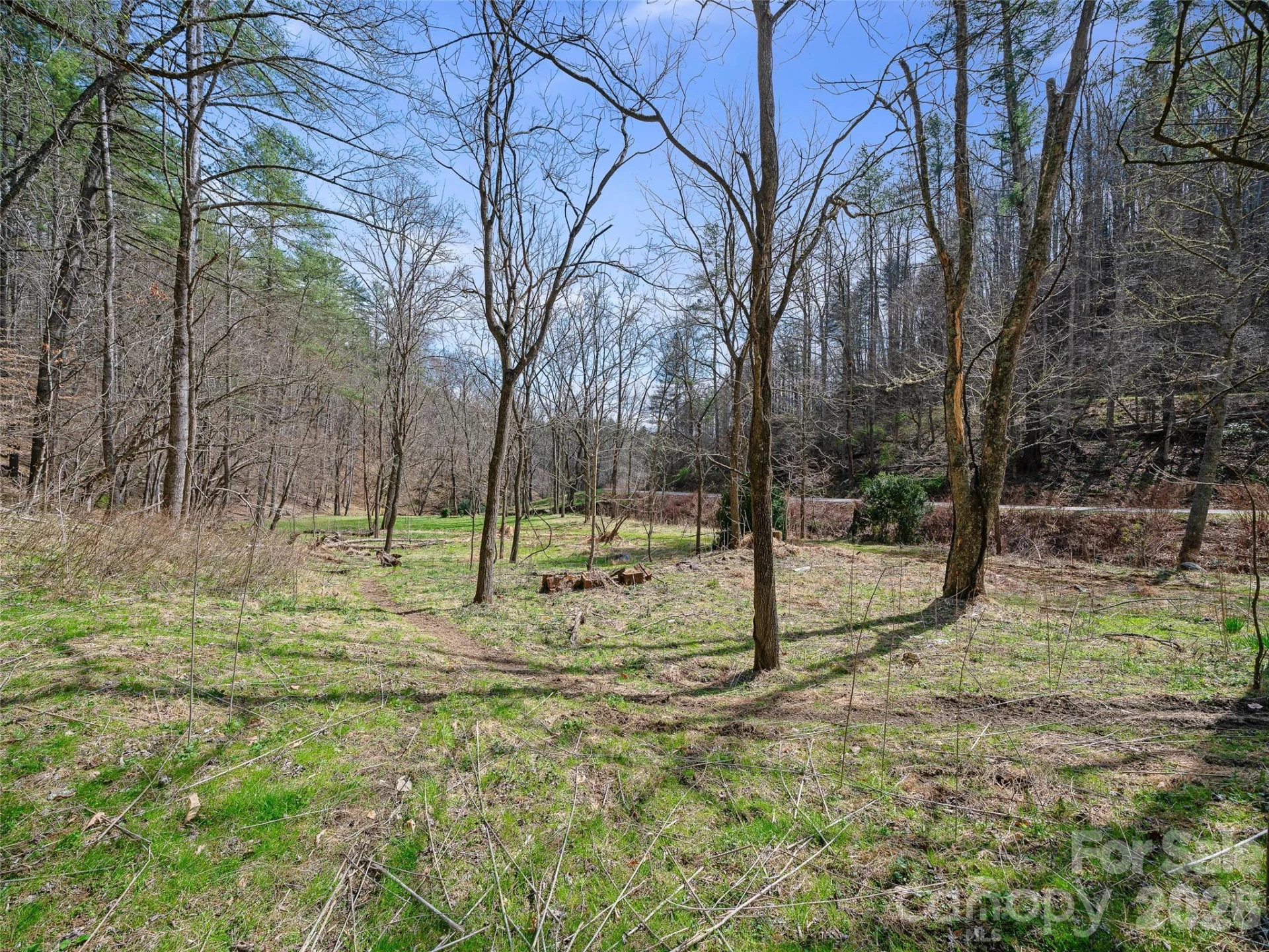 00 Elk Shoals Creek Road - Photo 22