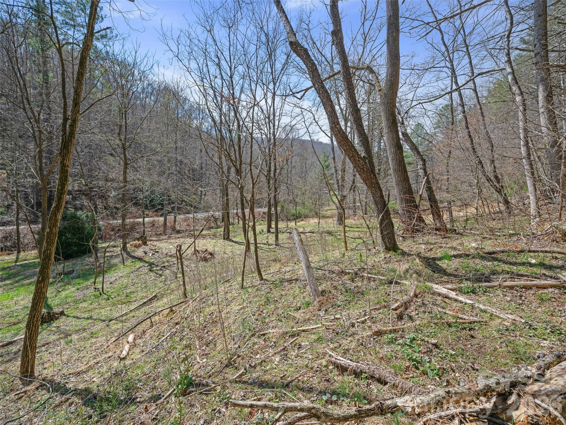 00 Elk Shoals Creek Road - Photo 28