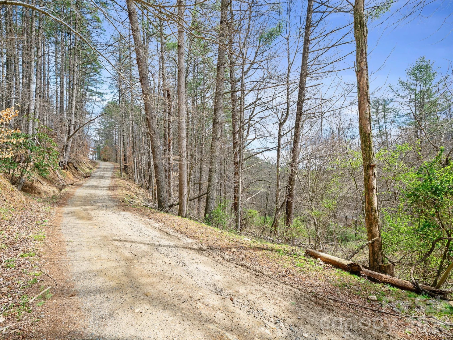 00 Elk Shoals Creek Road - Photo 29