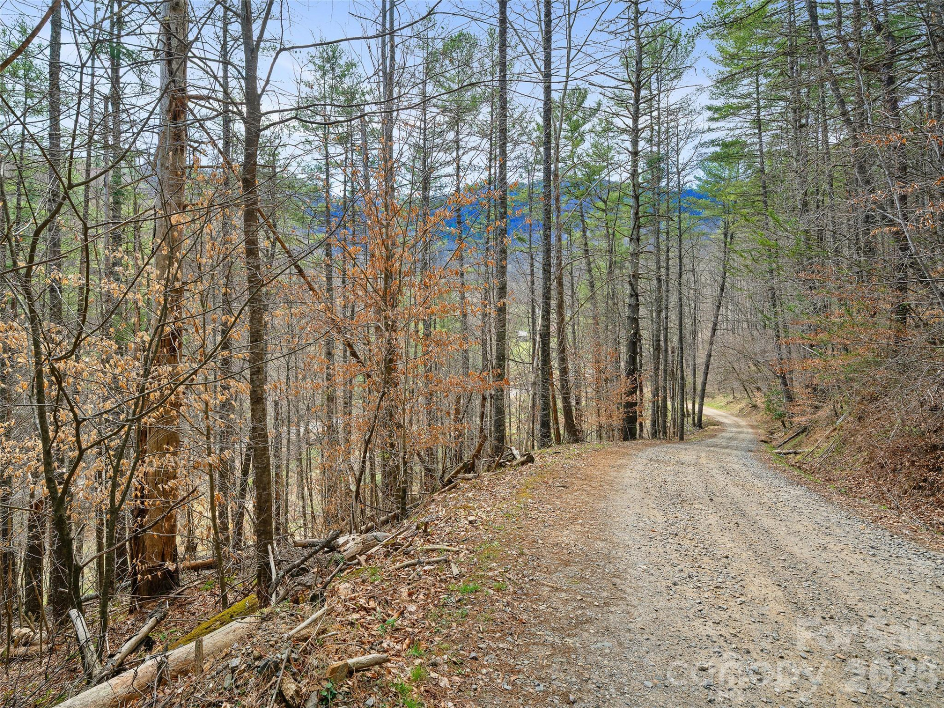 00 Elk Shoals Creek Road - Photo 30