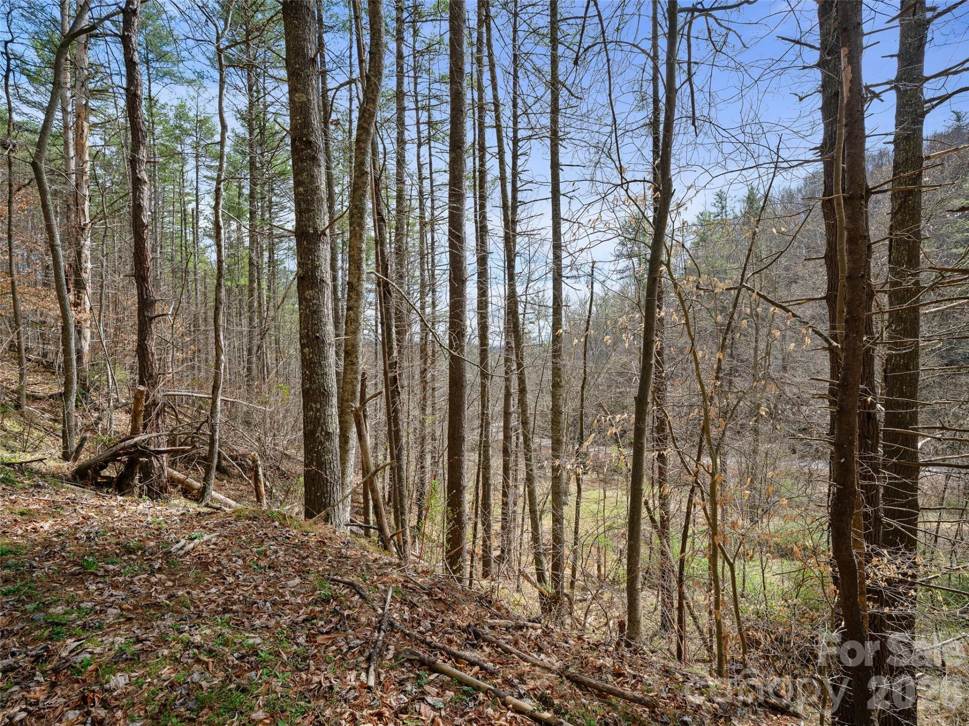 00 Elk Shoals Creek Road - Photo 31