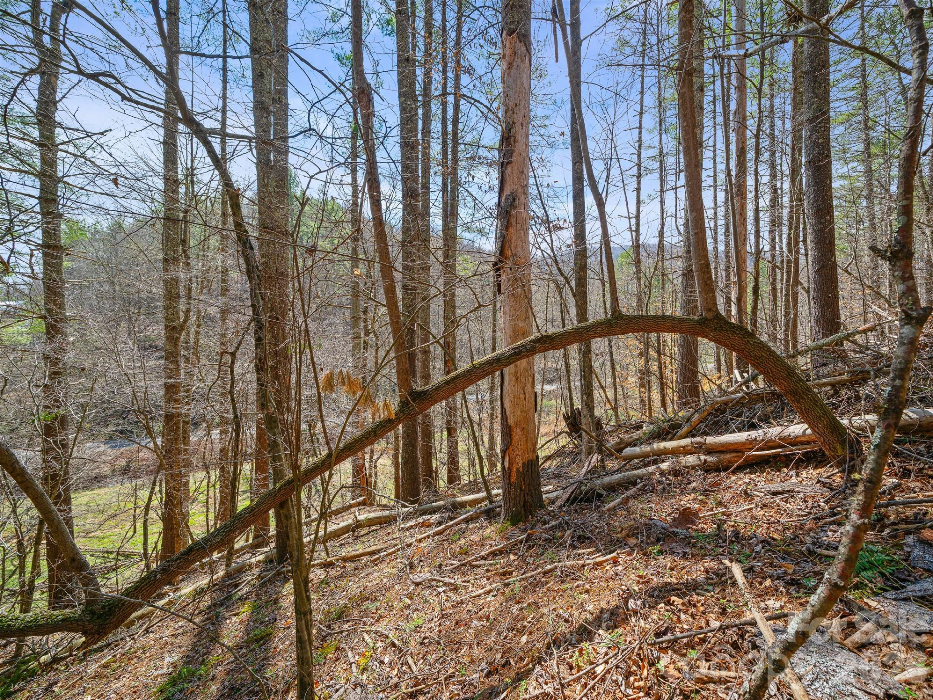 00 Elk Shoals Creek Road - Photo 32