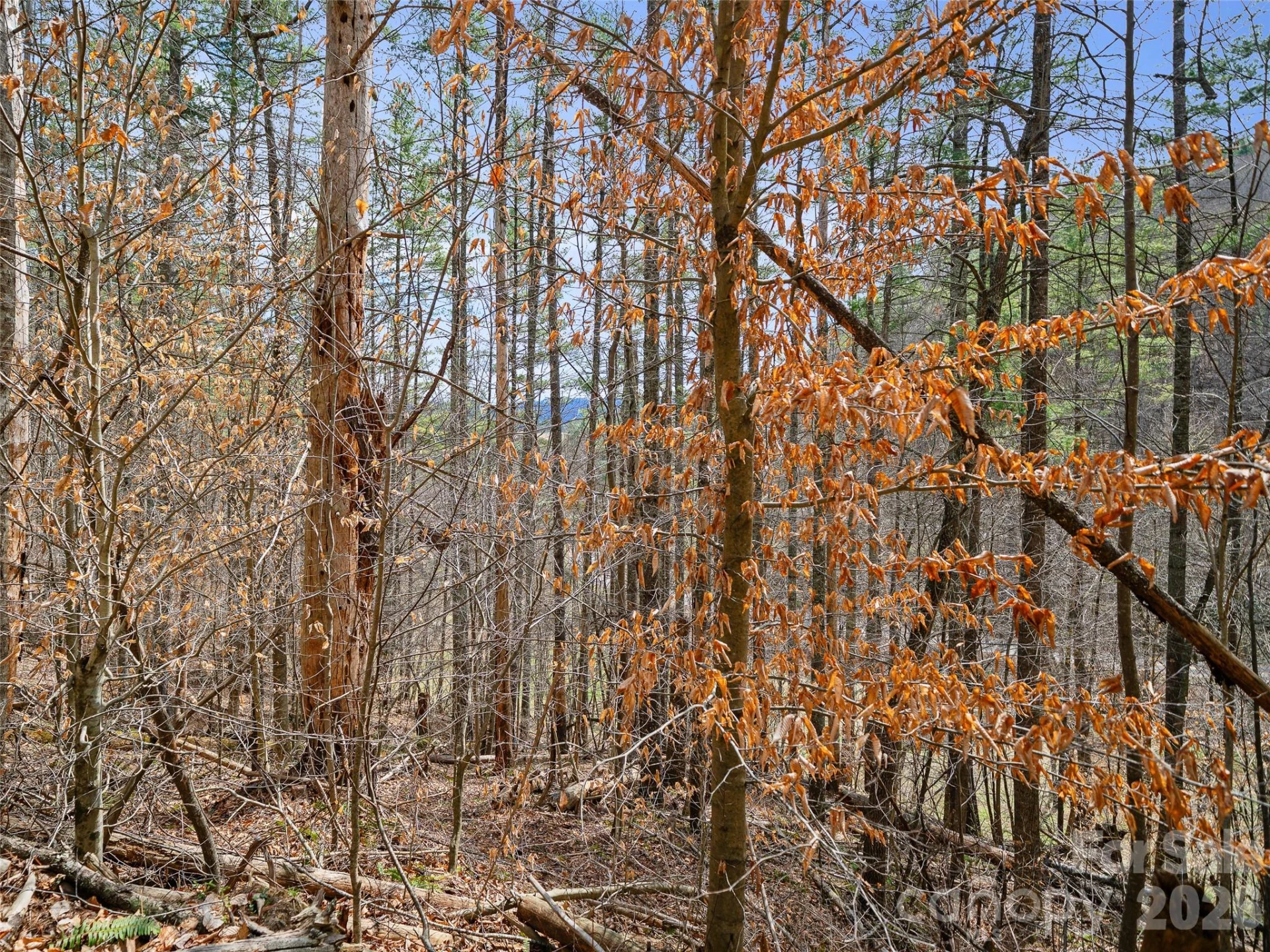 00 Elk Shoals Creek Road - Photo 33