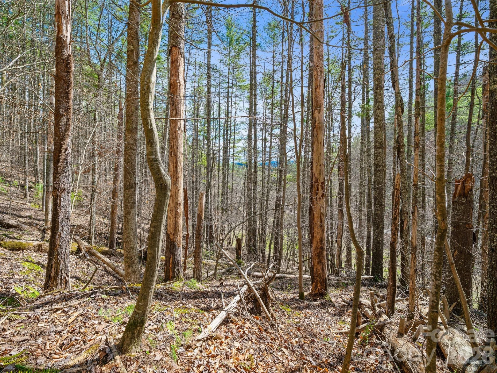 00 Elk Shoals Creek Road - Photo 34