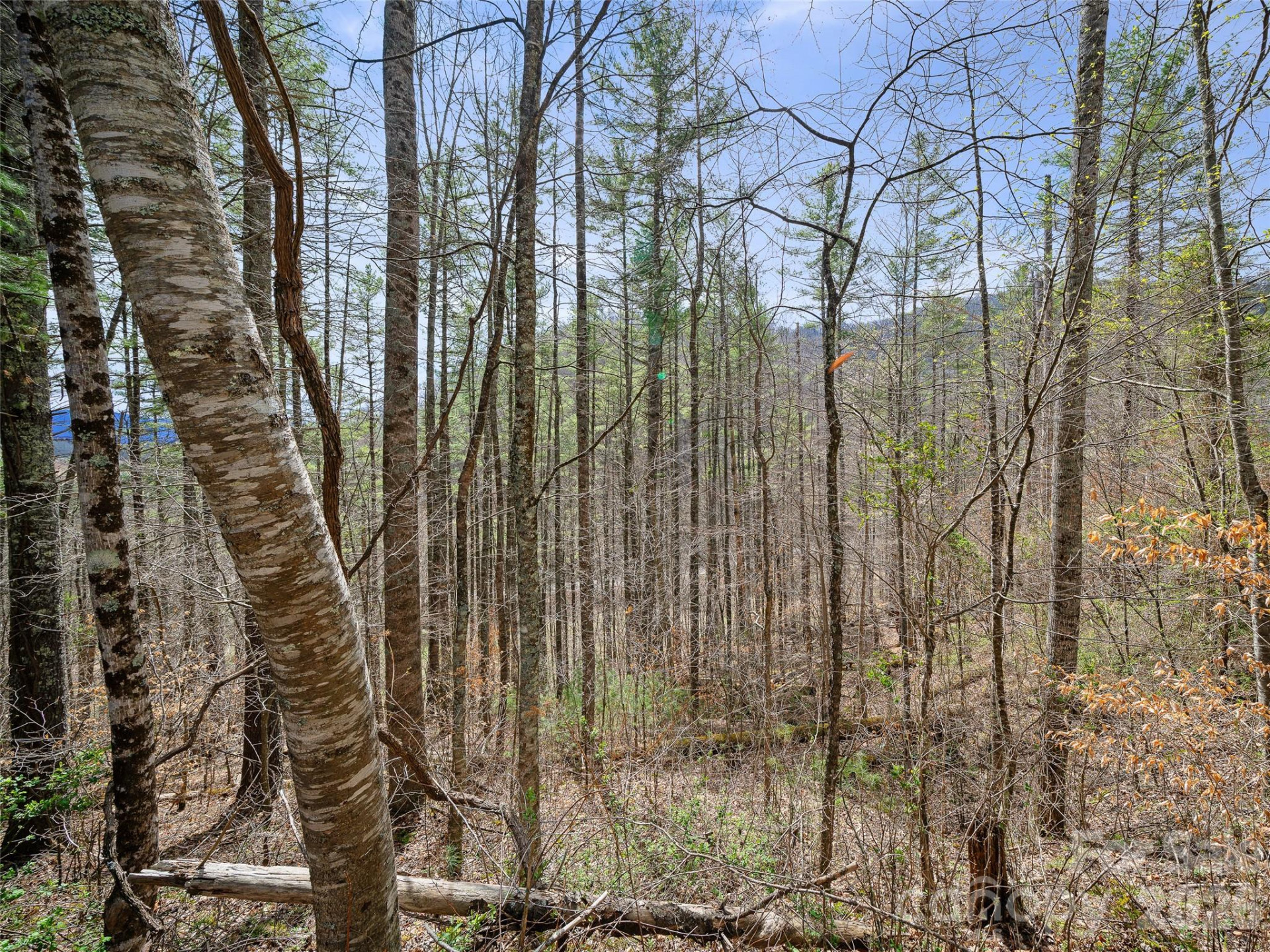 00 Elk Shoals Creek Road - Photo 35