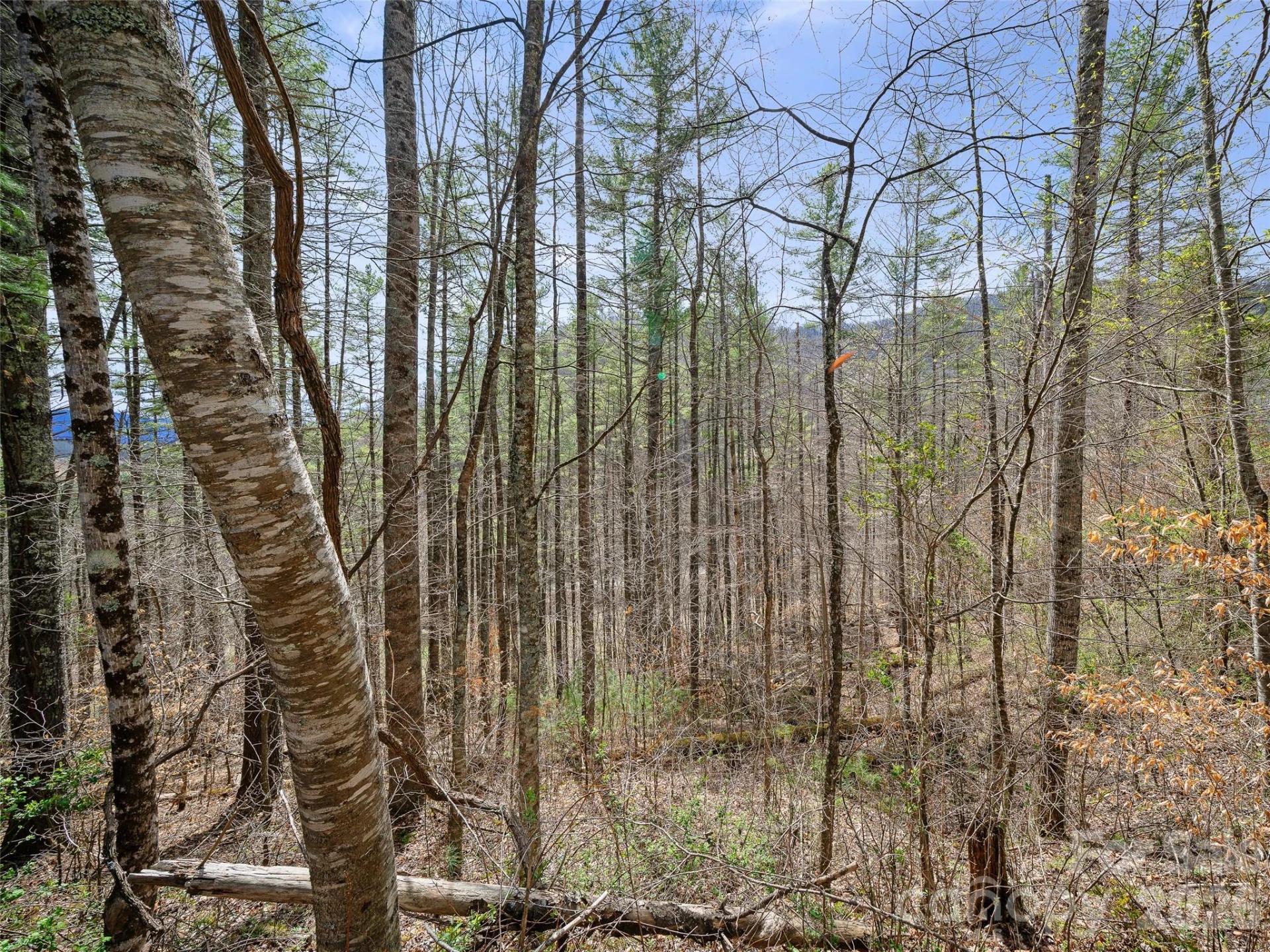 00 Elk Shoals Creek Road - Photo 35