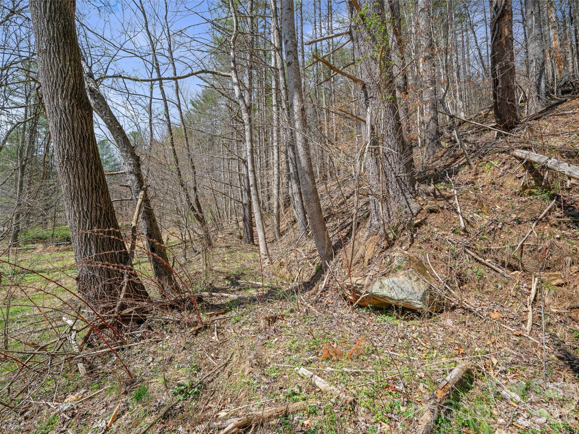 00 Elk Shoals Creek Road - Photo 36