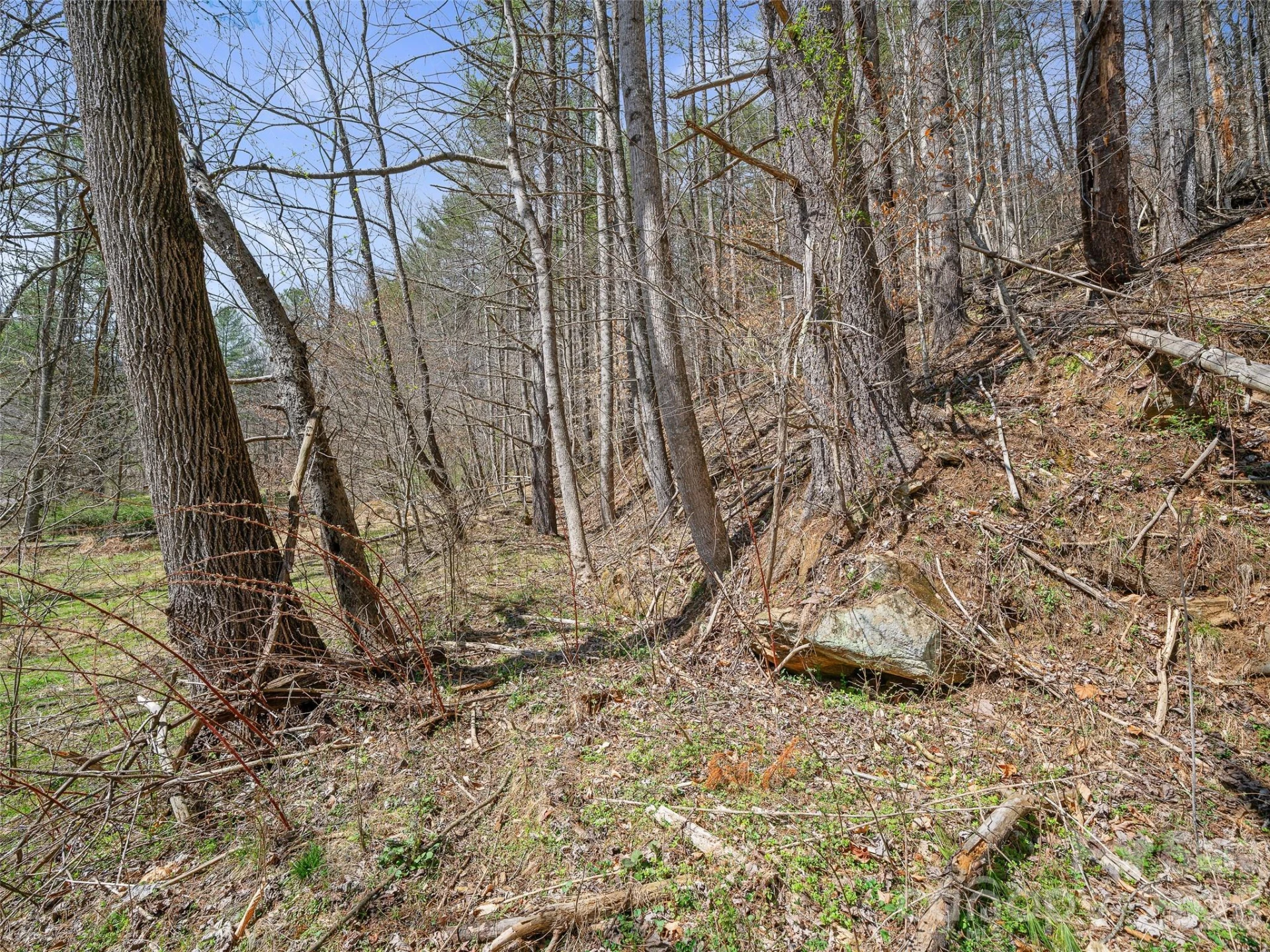 00 Elk Shoals Creek Road - Photo 36