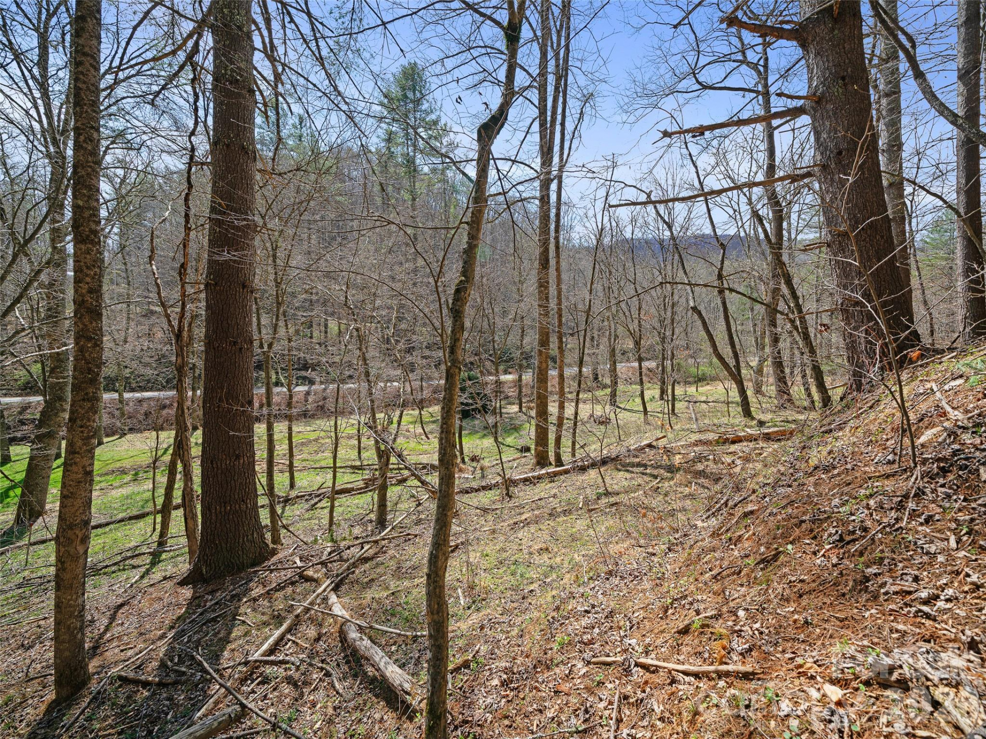 00 Elk Shoals Creek Road - Photo 37
