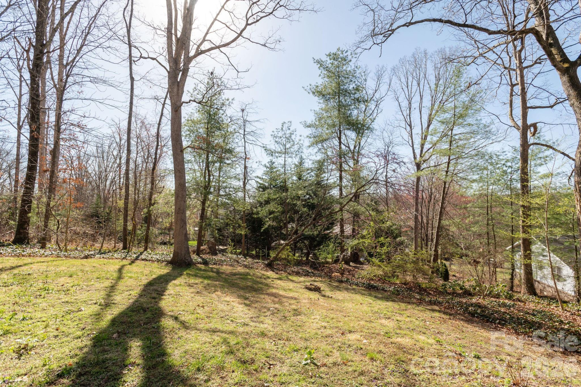 3113 Primrose Drive - Photo 39