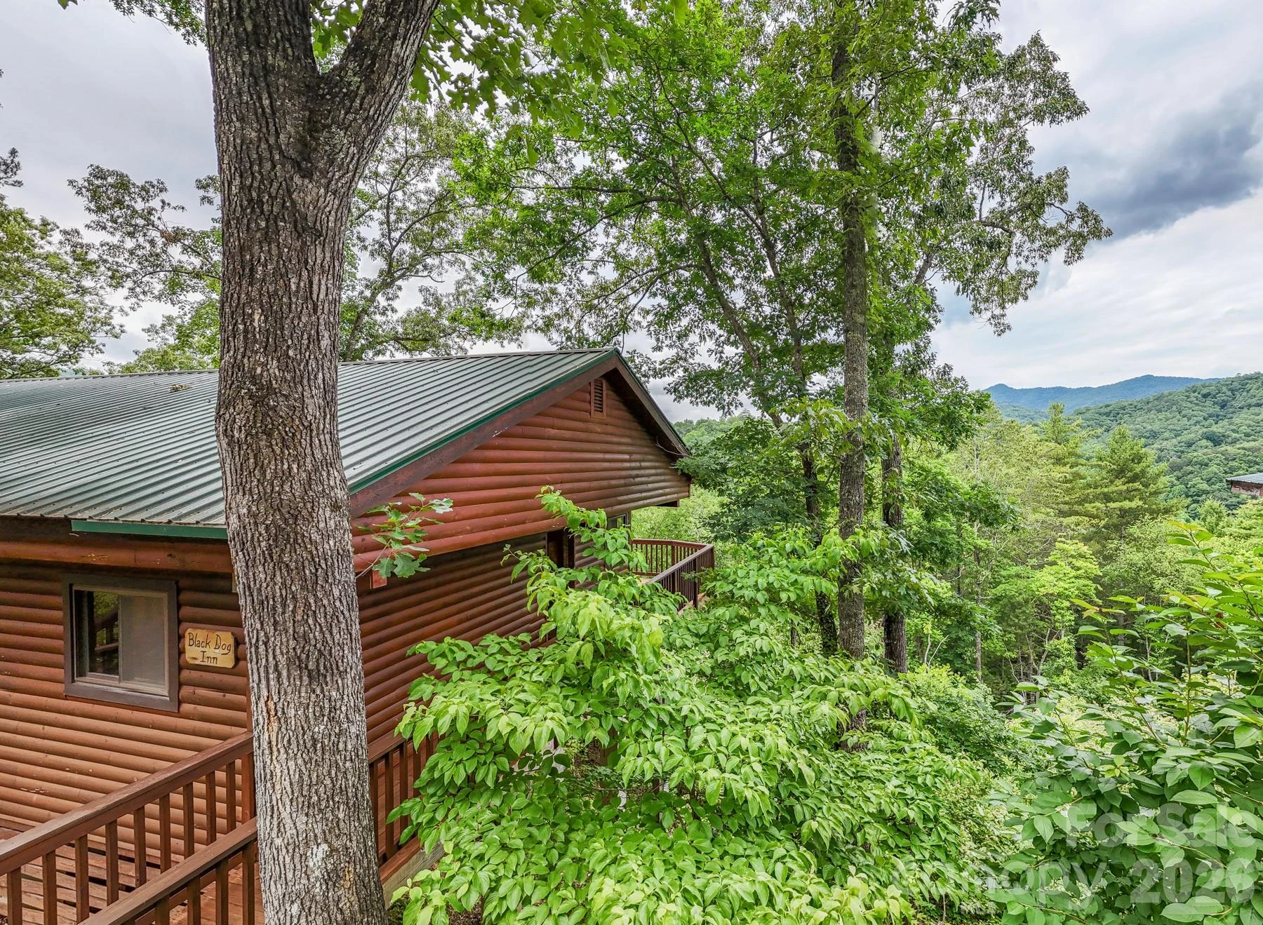 307 Blue Ridge Parkway - Photo 15