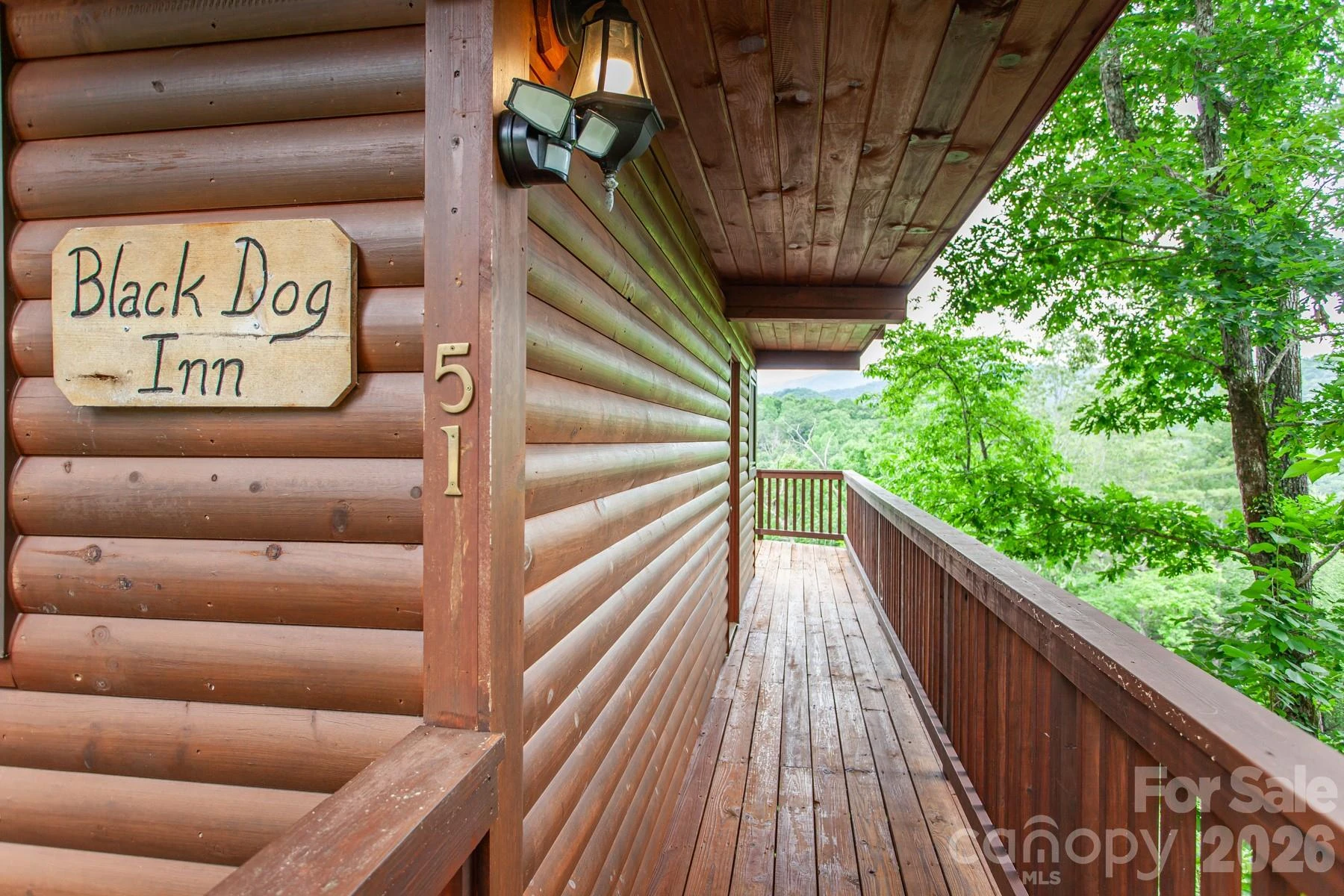 307 Blue Ridge Parkway - Photo 18