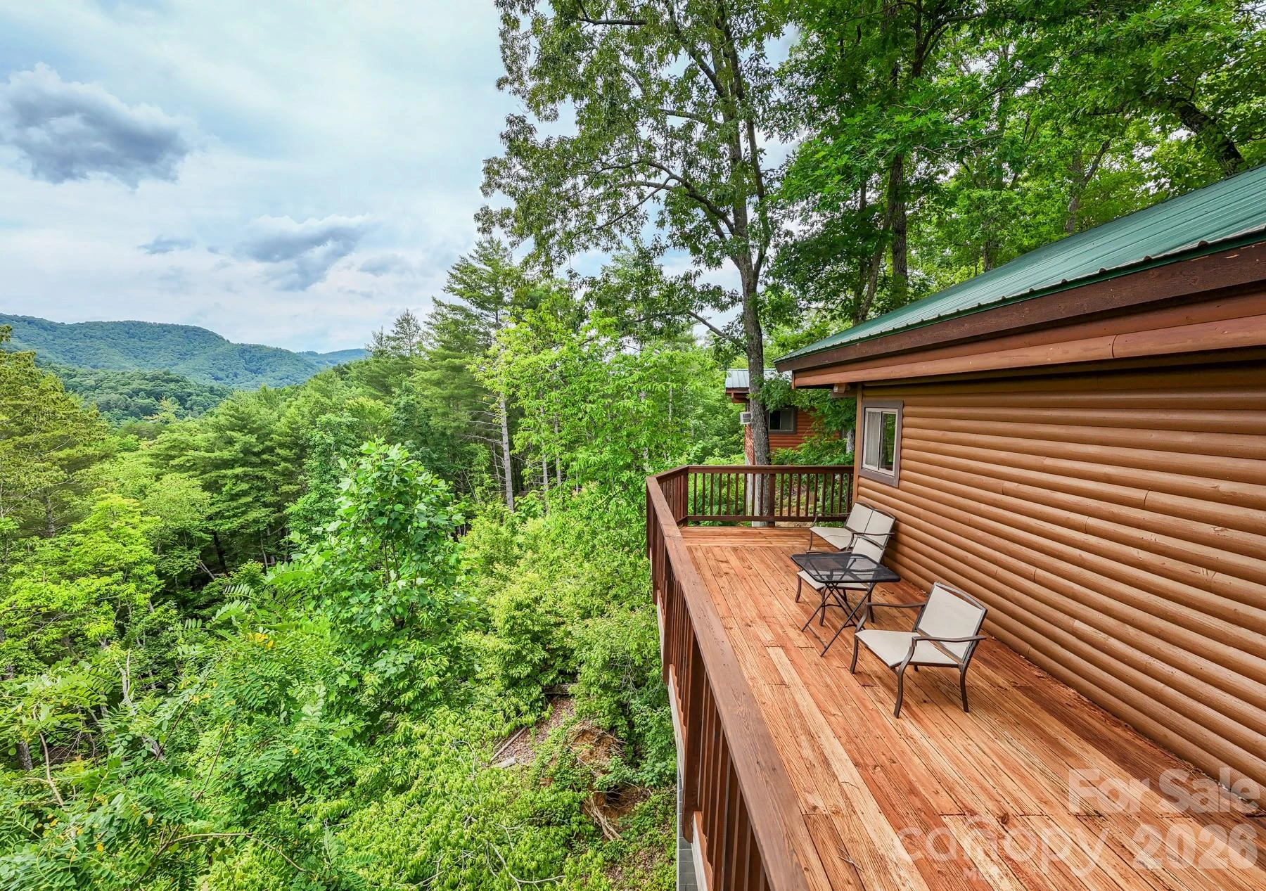 307 Blue Ridge Parkway - Photo 23