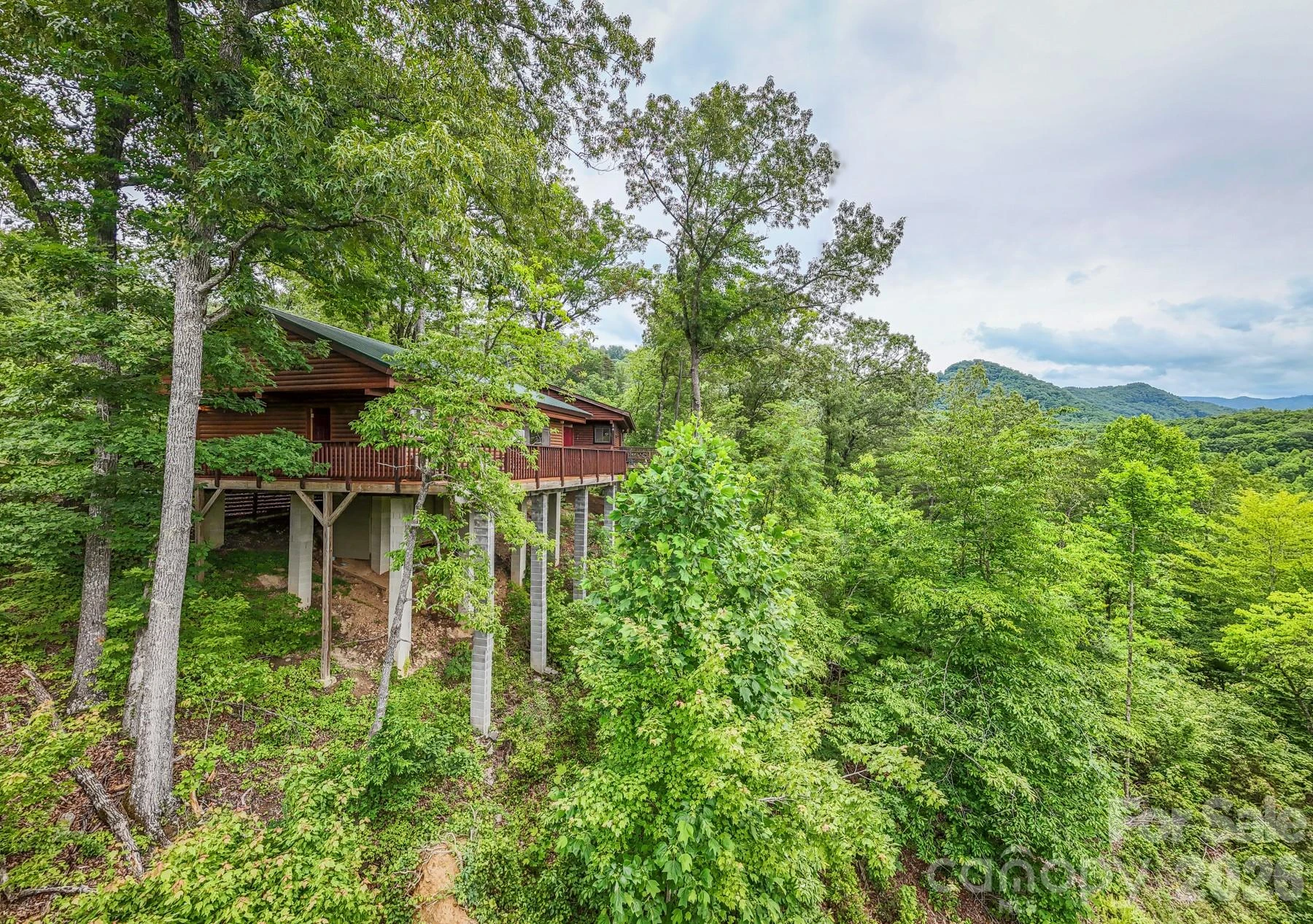 307 Blue Ridge Parkway - Photo 8