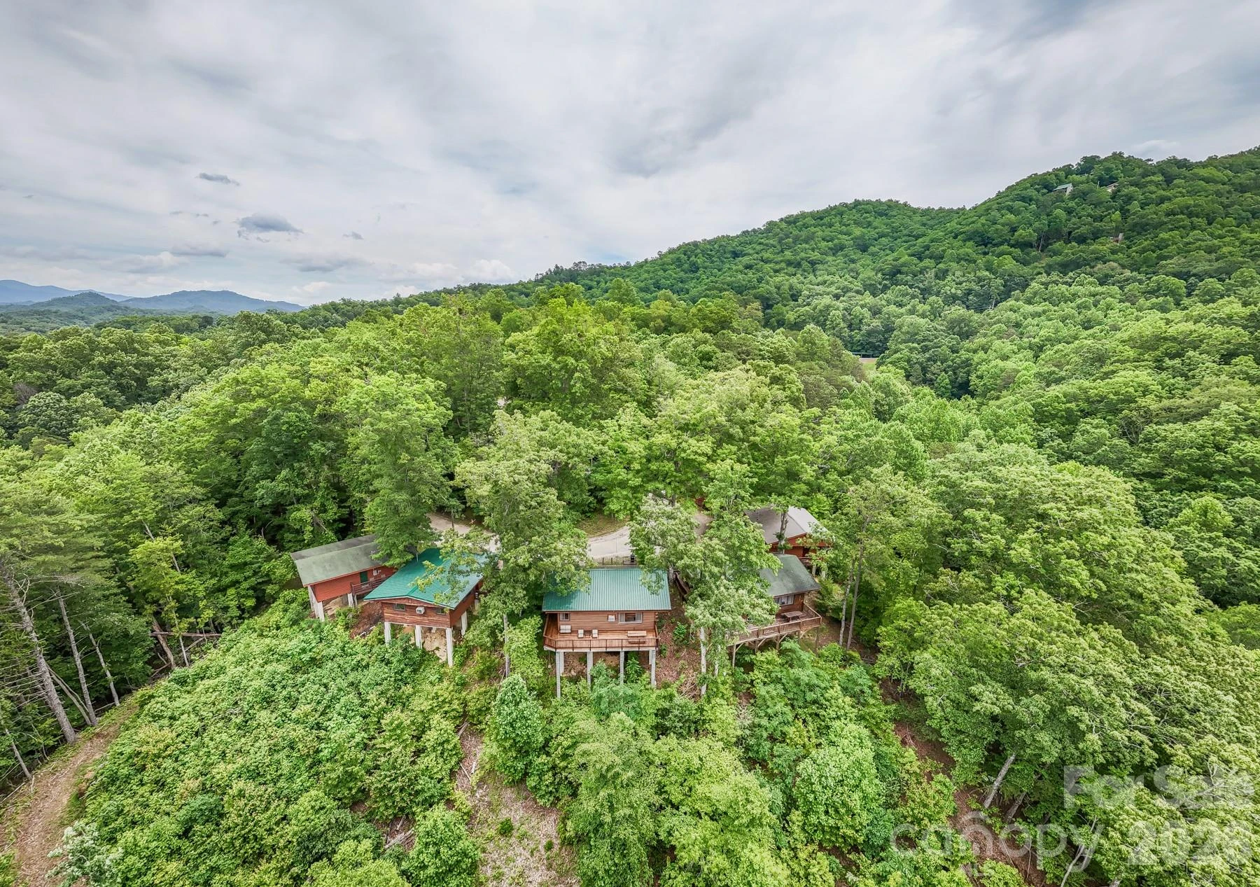 307 Blue Ridge Parkway - Photo 9
