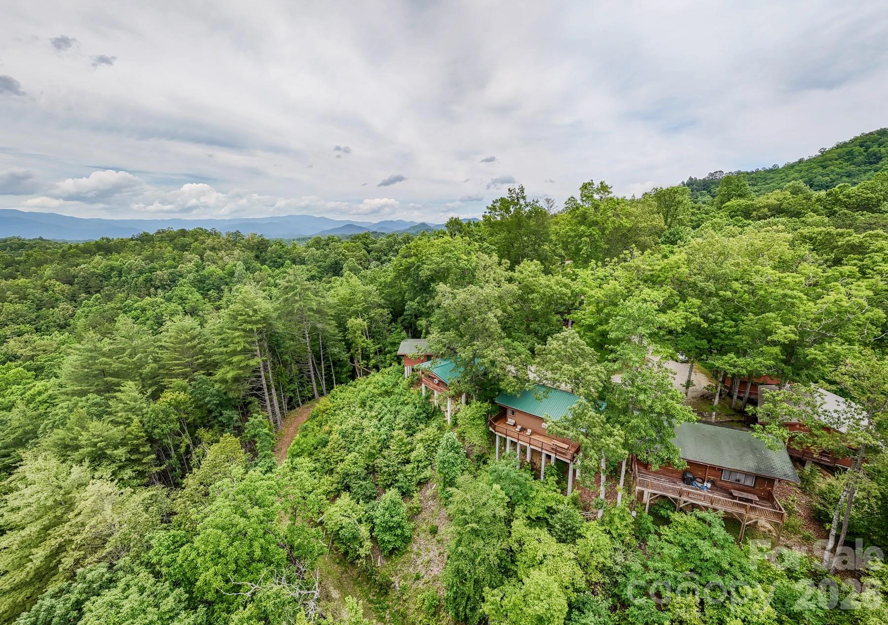 307 Blue Ridge Parkway - Photo 10