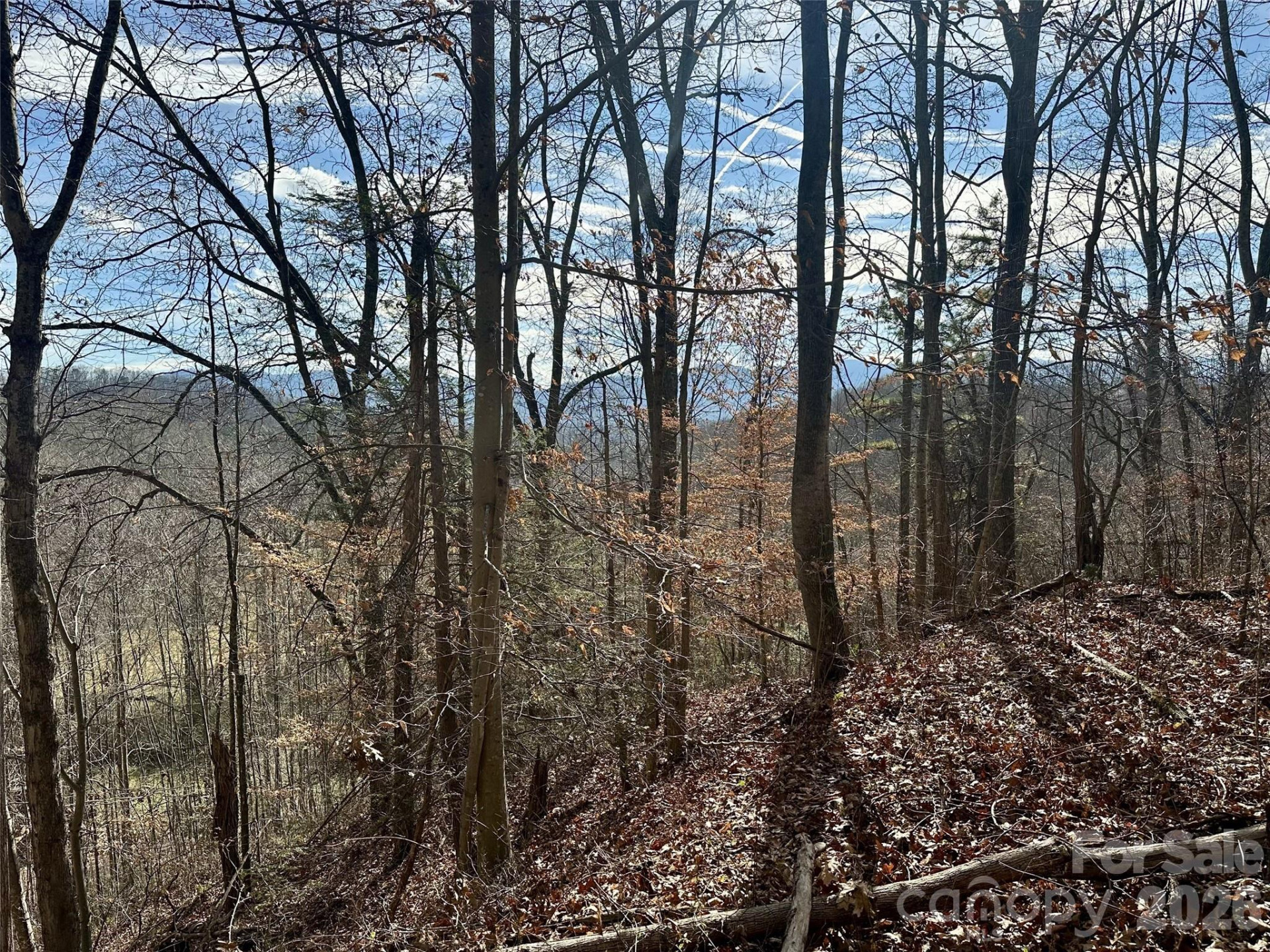 00 Queen Cove Road - Photo 16