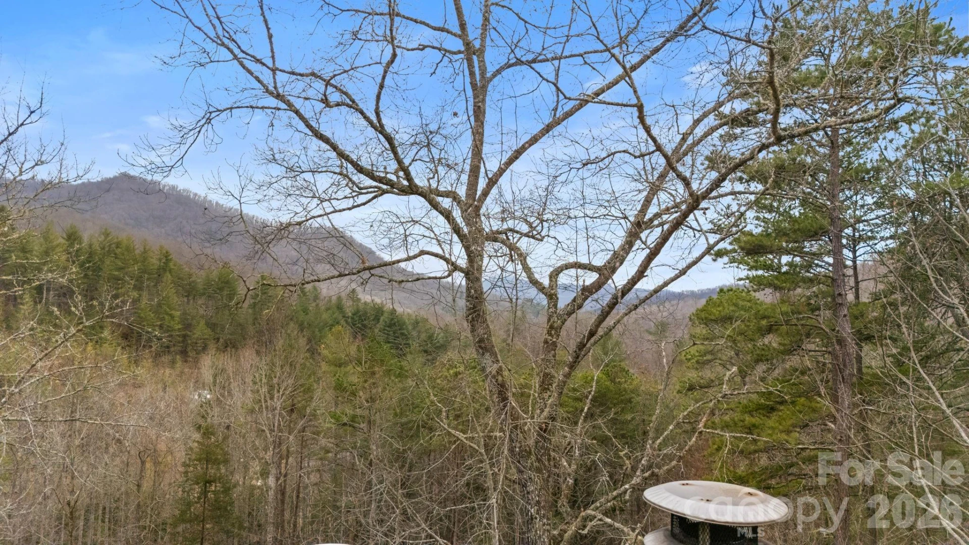 113 Cardinal Drive - Photo 4