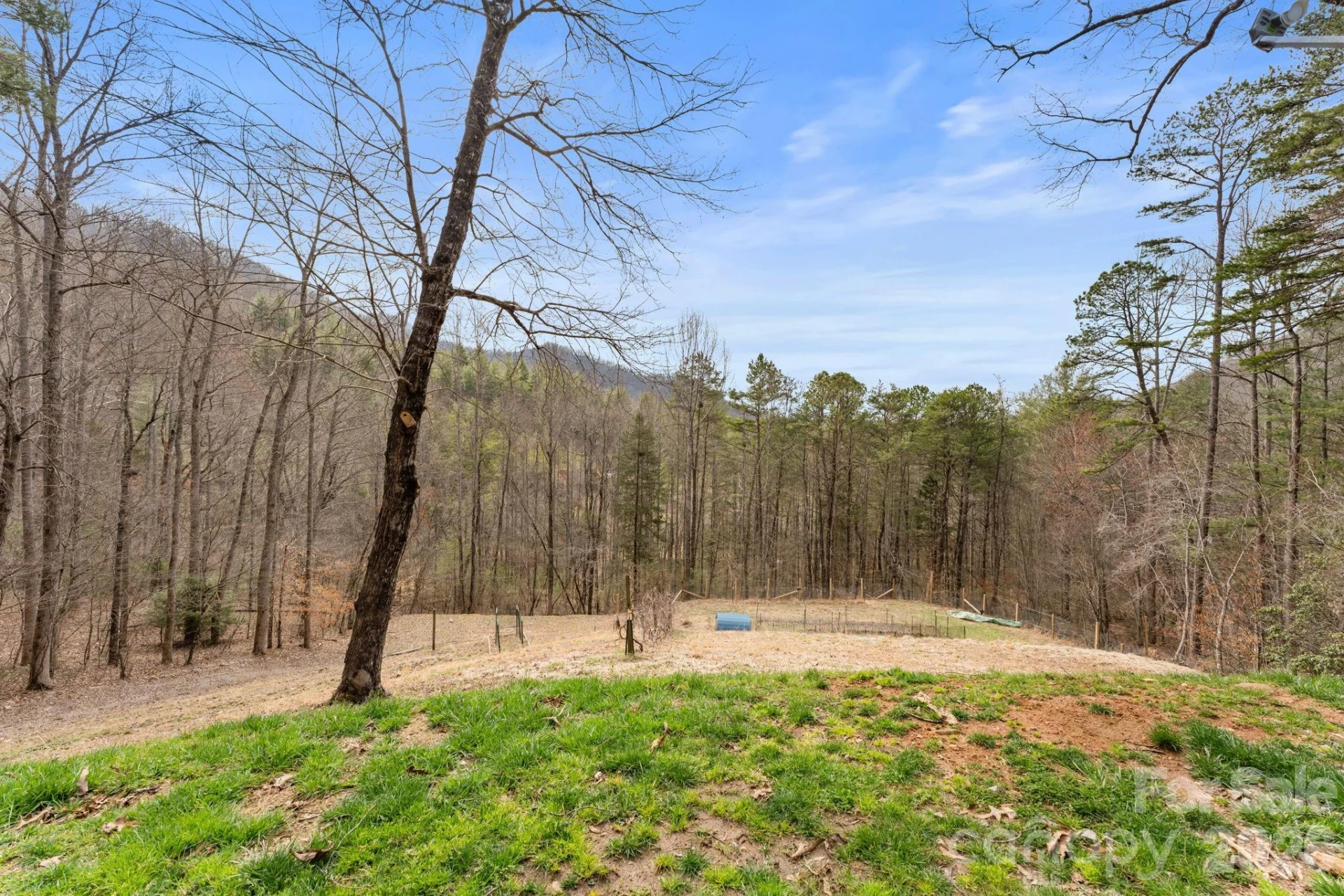 113 Cardinal Drive - Photo 5