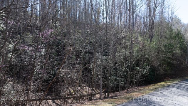 Lot 27-11 High Trail Drive, Nebo, NC, 28761