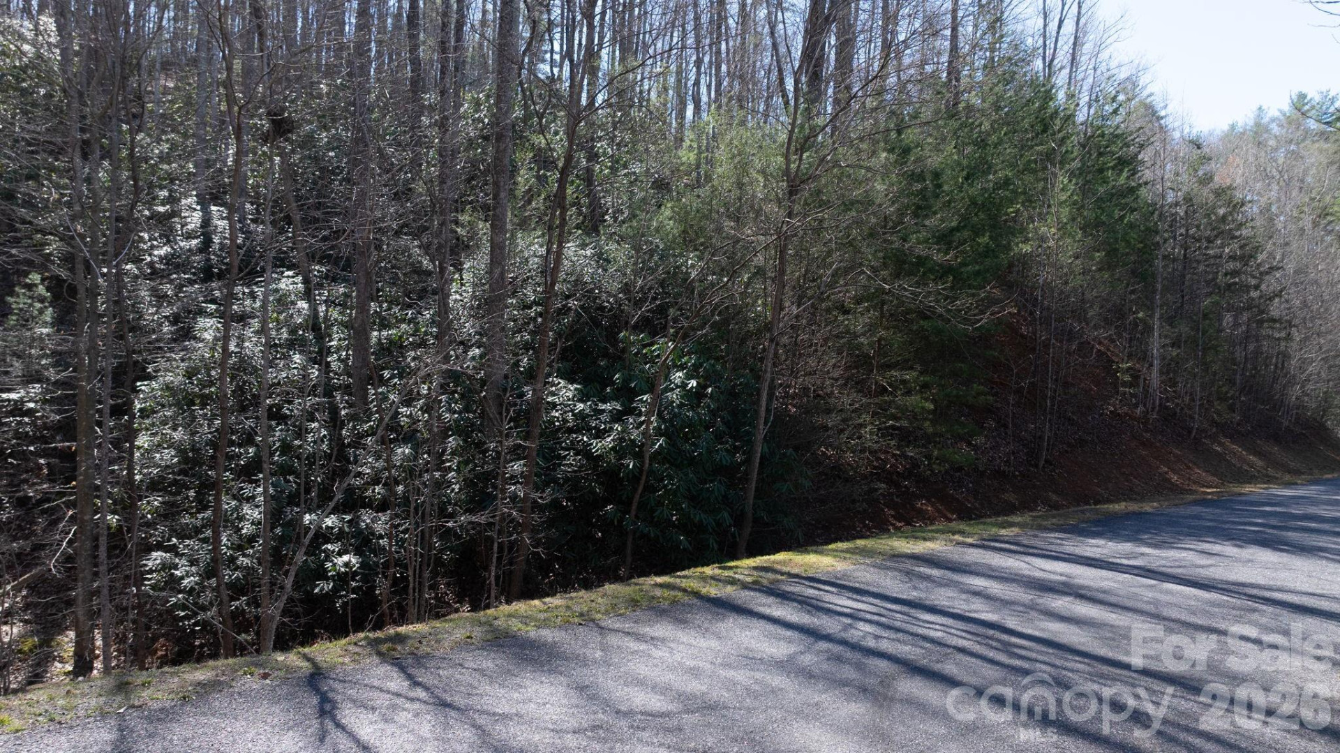 Lot 27-11 High Trail Drive - Photo 2