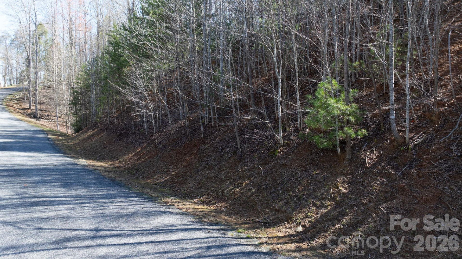 Lot 27-11 High Trail Drive - Photo 8