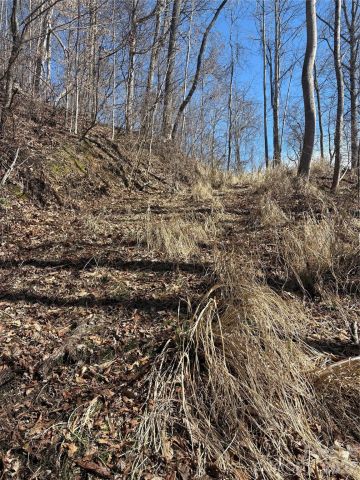 344 Running Deer Lane, Mars Hill, NC, 28754