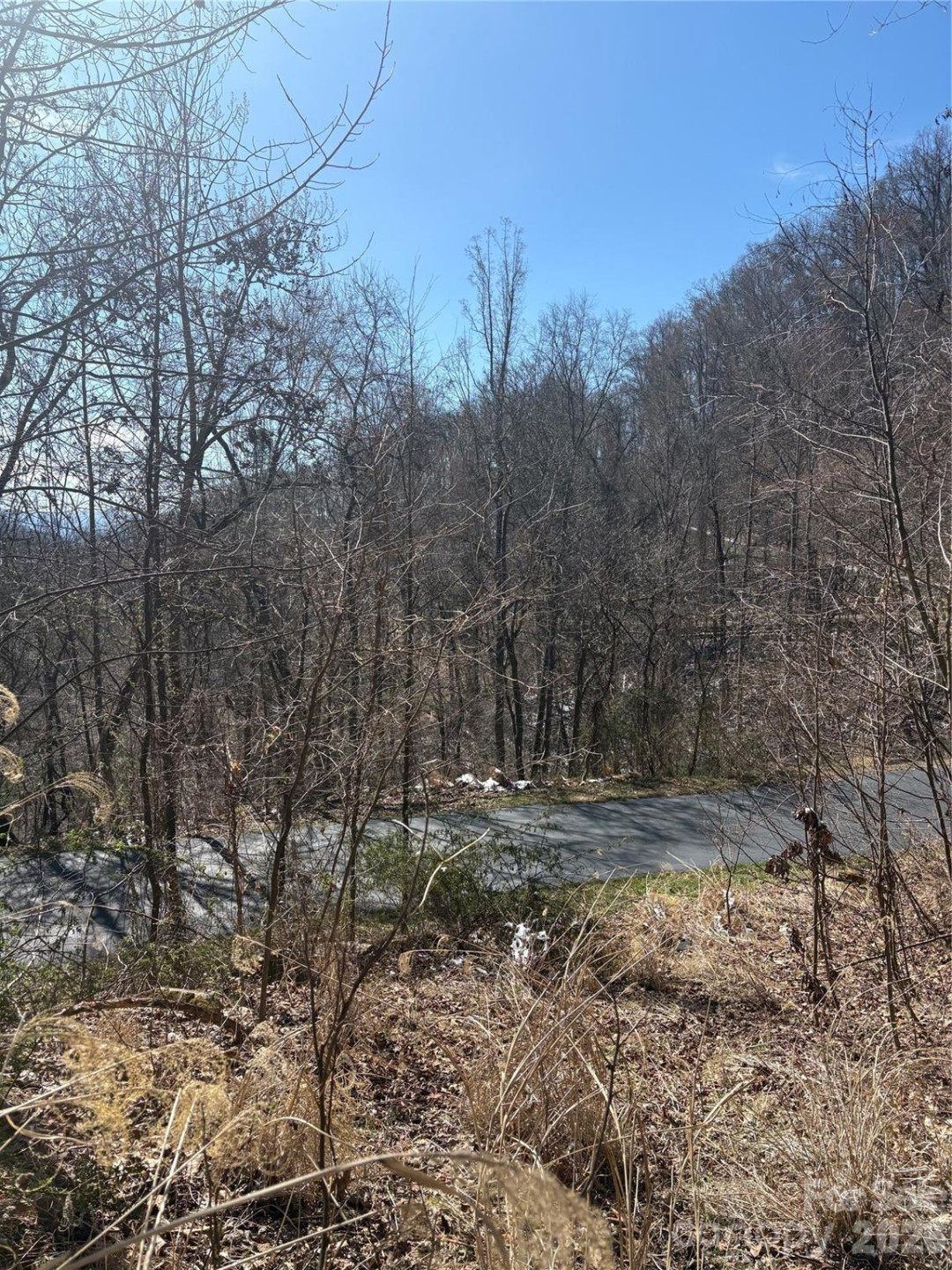 344 Running Deer Lane #71 - Photo 2