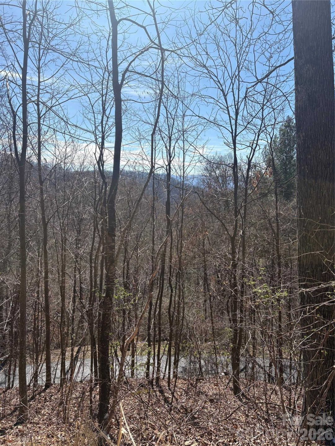 344 Running Deer Lane #71 - Photo 3