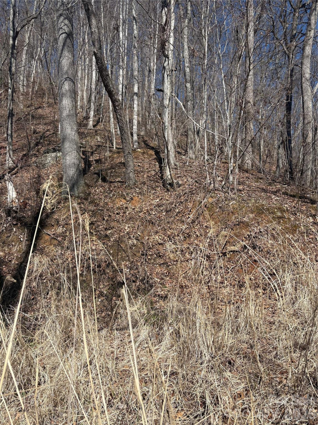 344 Running Deer Lane #71 - Photo 5