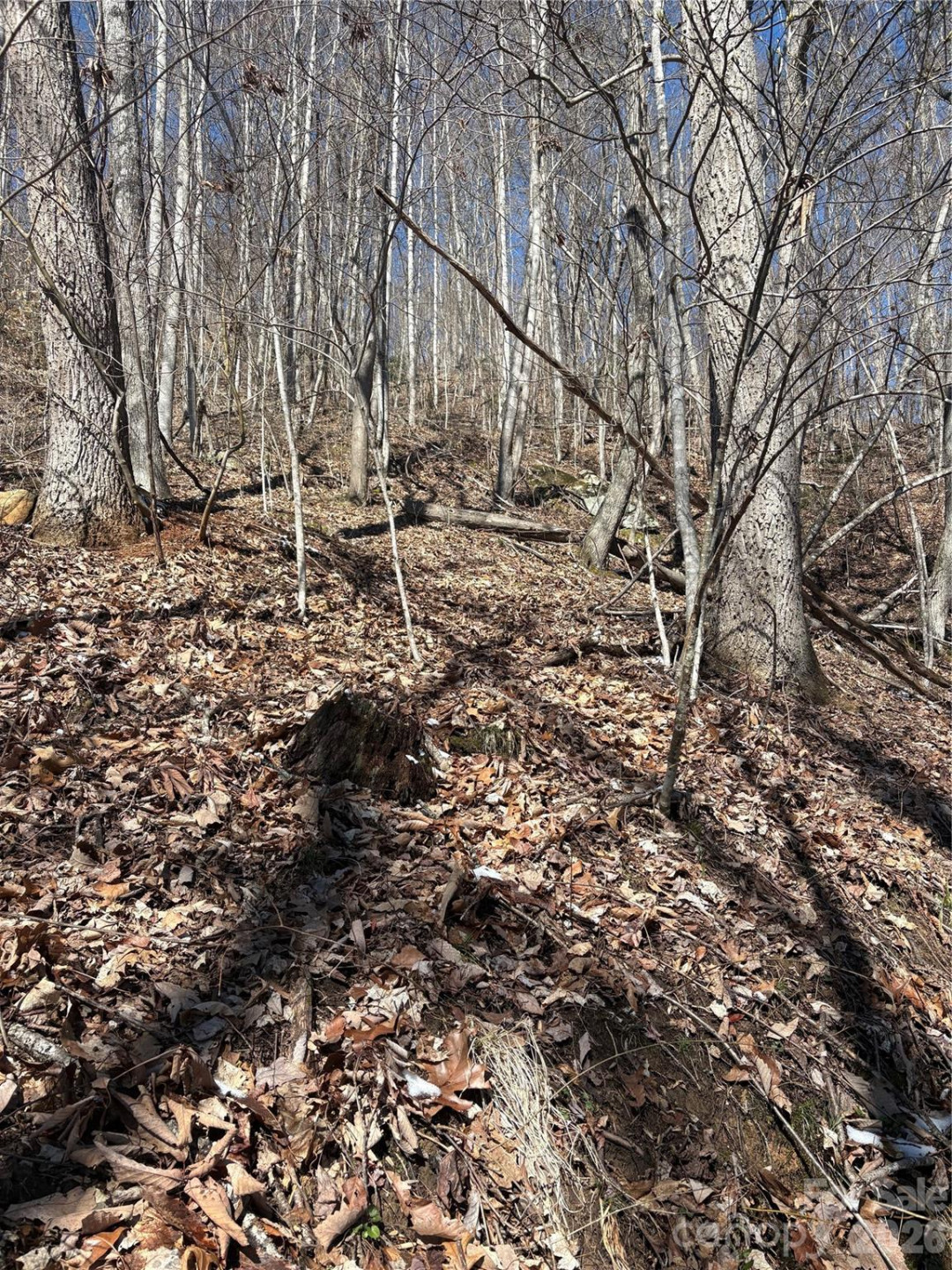 344 Running Deer Lane #71 - Photo 6