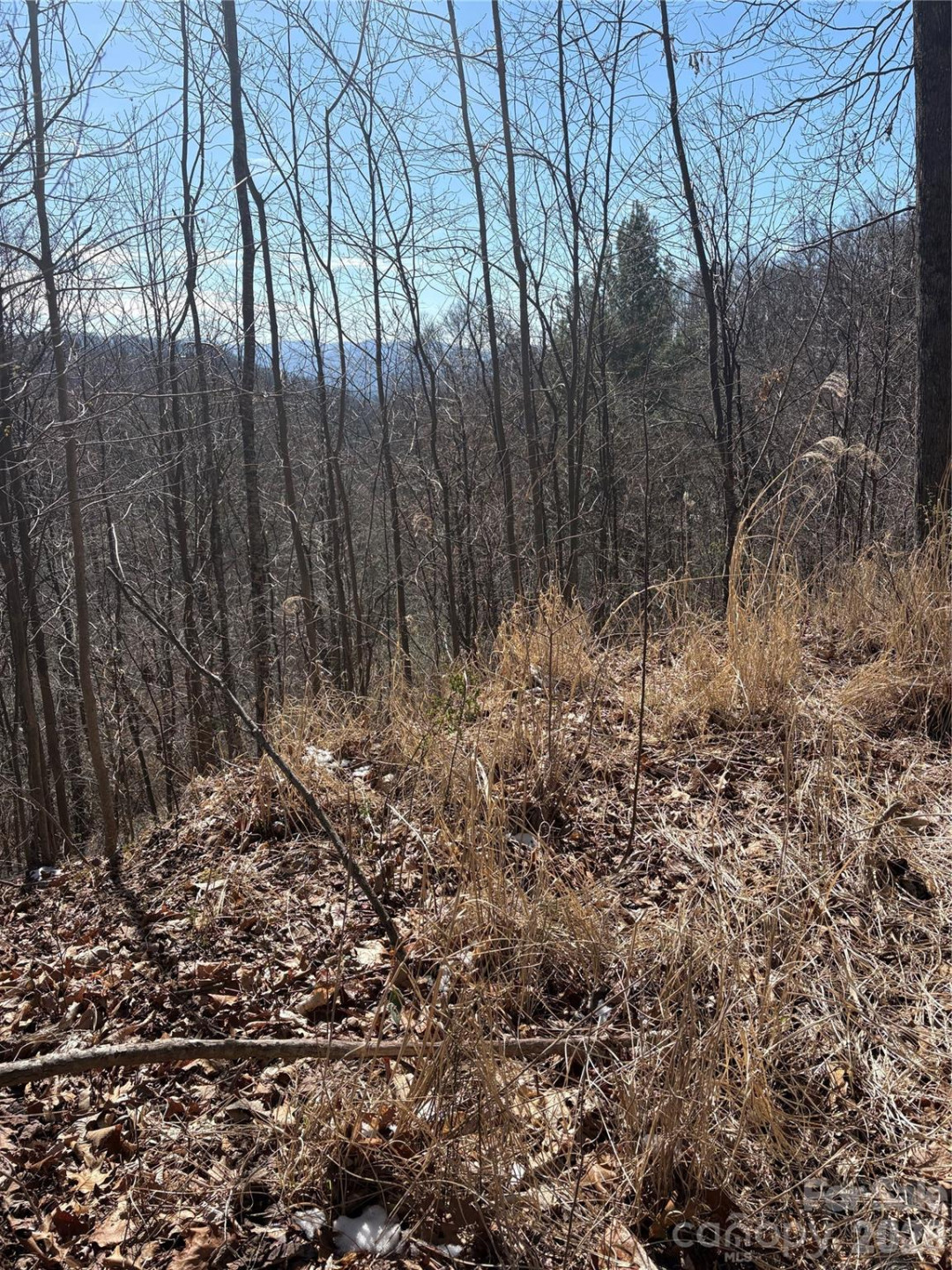 344 Running Deer Lane #71 - Photo 7