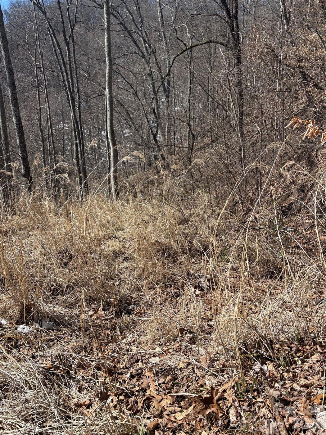 344 Running Deer Lane #71 - Photo 8