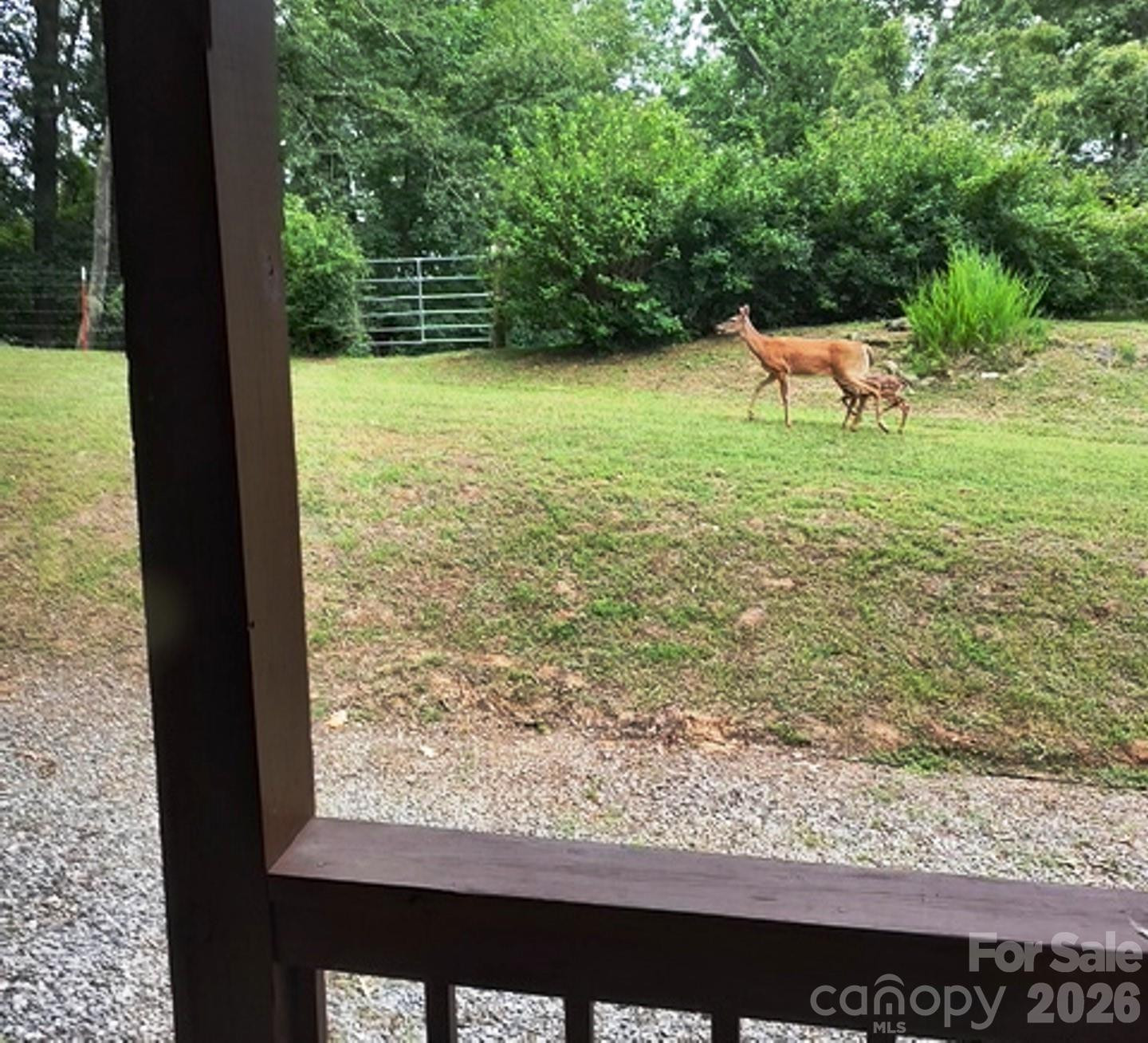 415 Treetop Lane - Photo 4