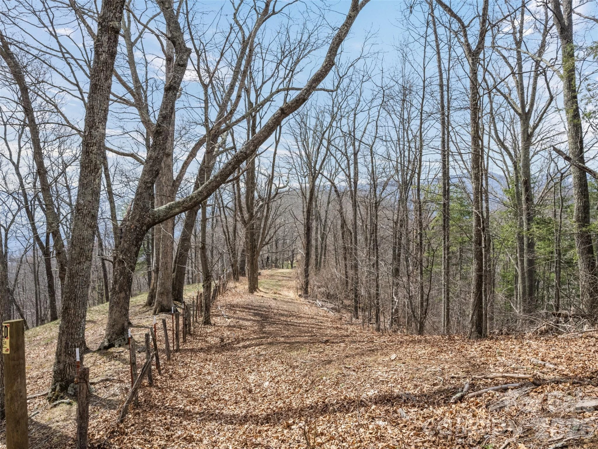 415 Treetop Lane - Photo 33