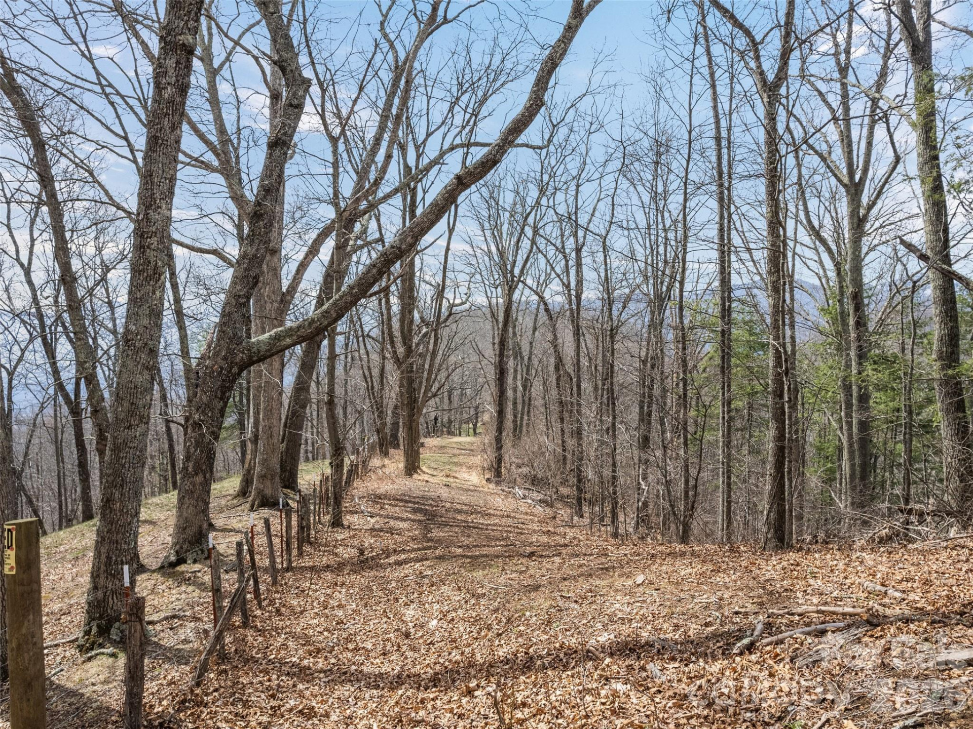 415 Treetop Lane - Photo 38