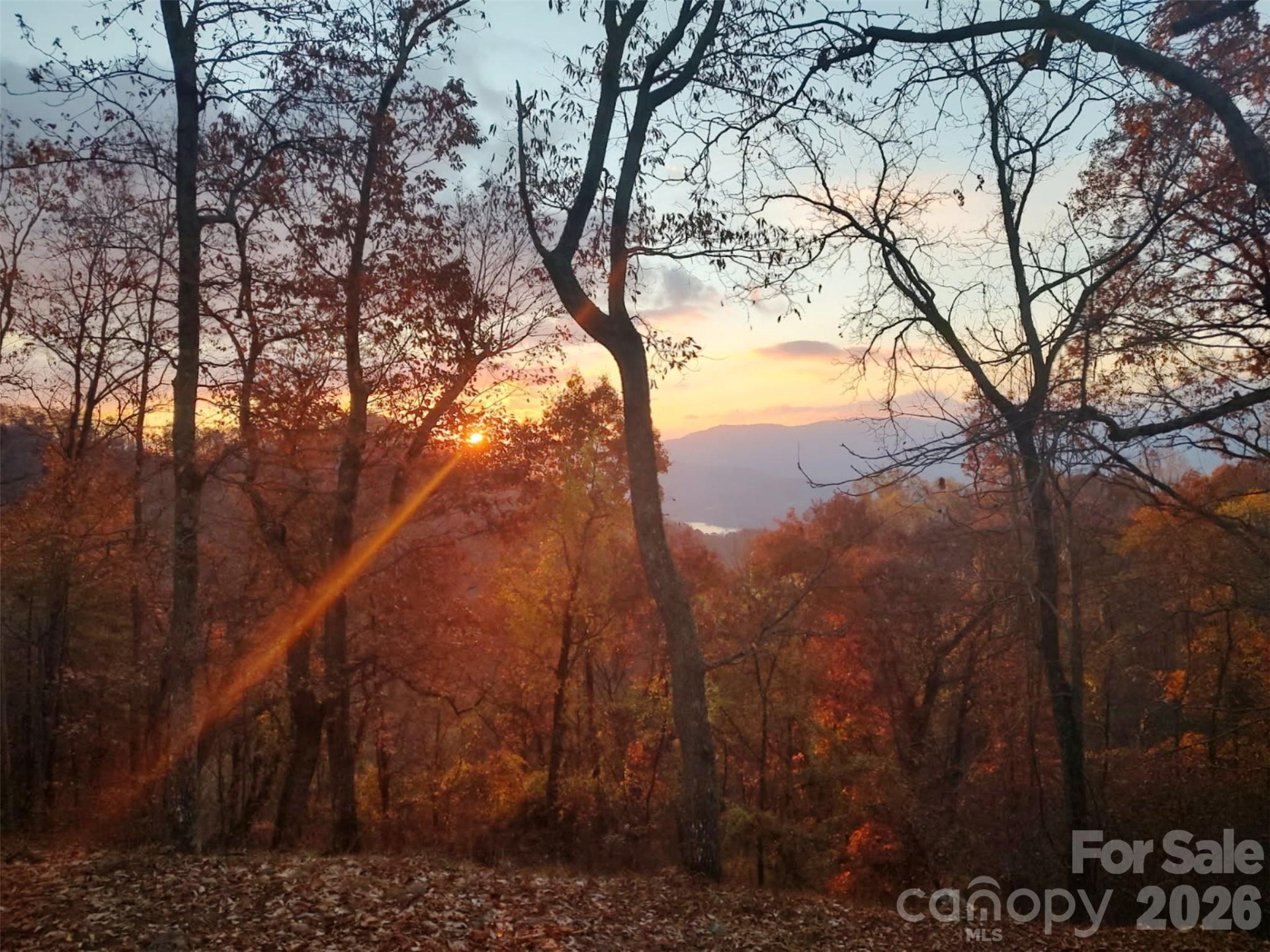 415 Treetop Lane - Photo 39