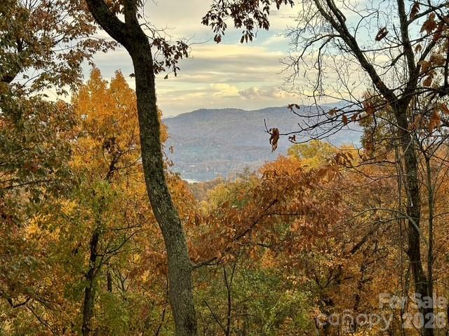 415 Treetop Lane - Photo 43