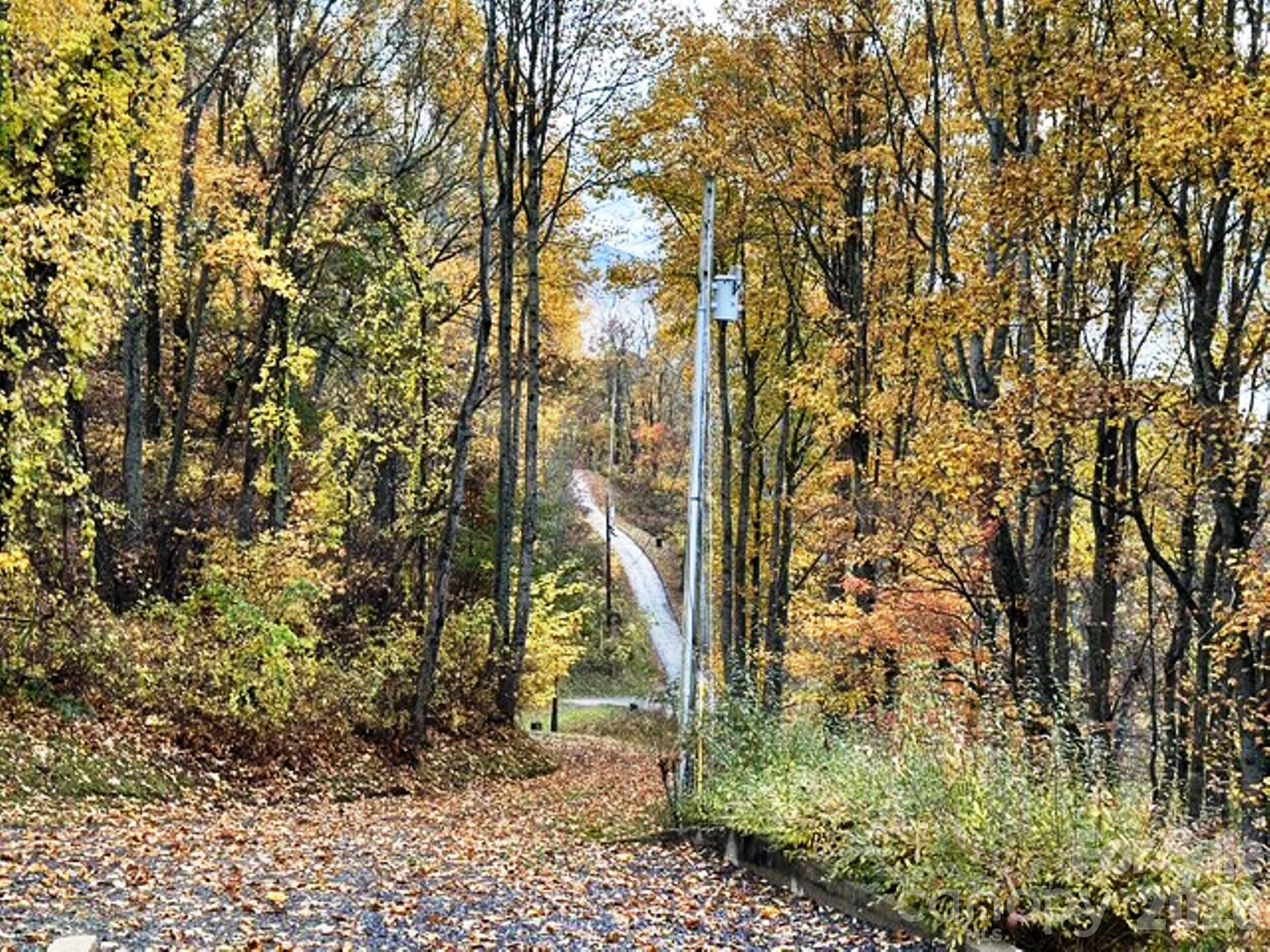 415 Treetop Lane - Photo 47