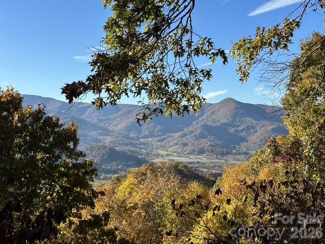 415 Treetop Lane - Photo 48