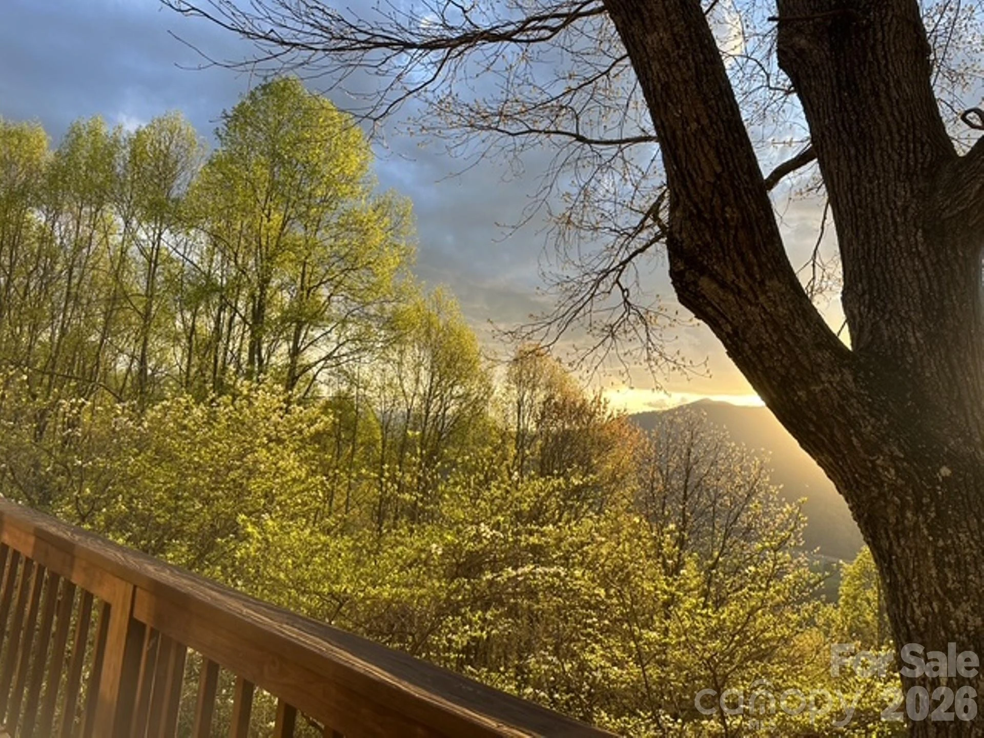 415 Treetop Lane - Photo 4