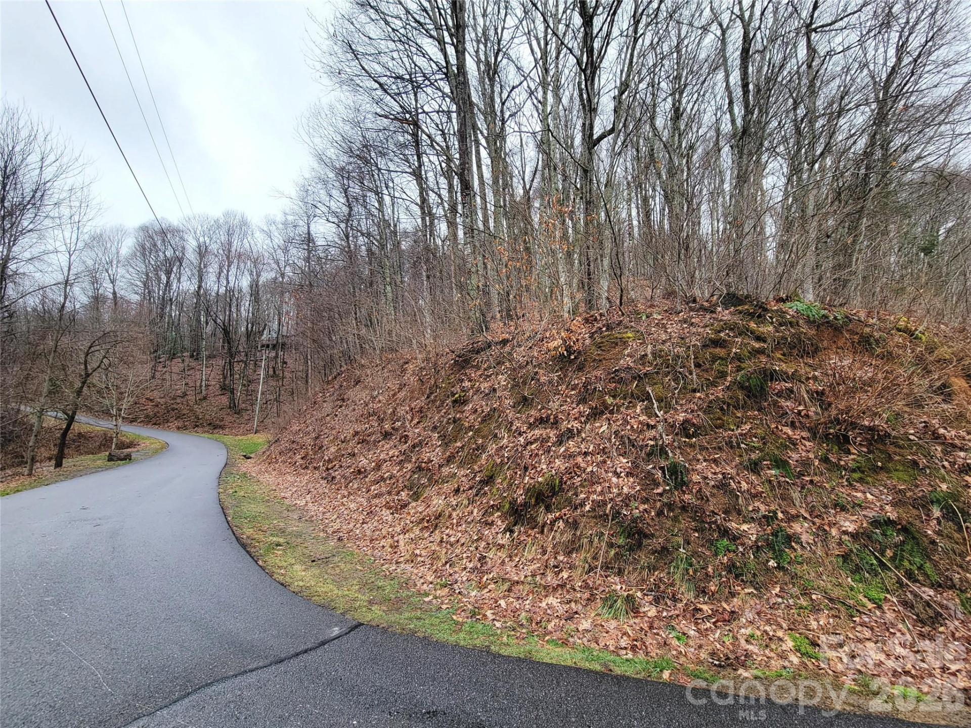 820 Chestnut Flats Lane #4 - Photo 11