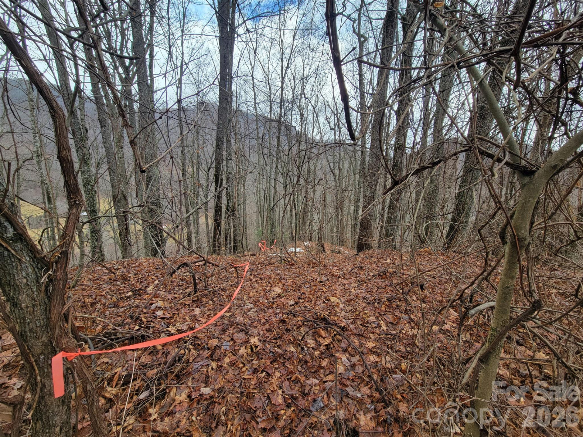 820 Chestnut Flats Lane #4 - Photo 13